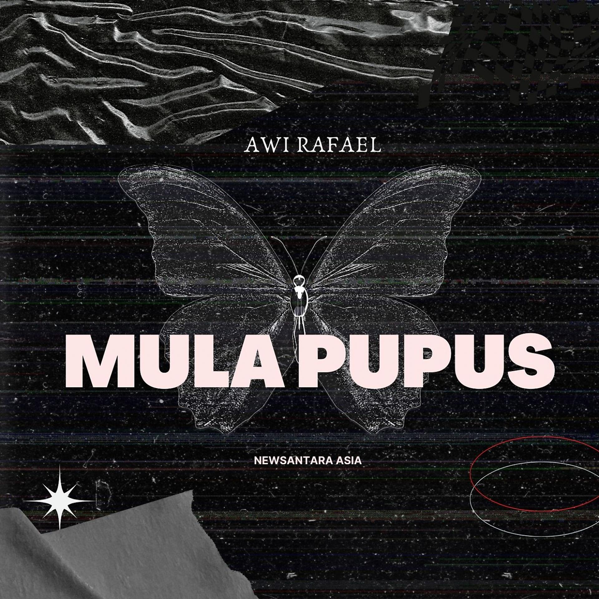 Постер альбома Mula Pupus