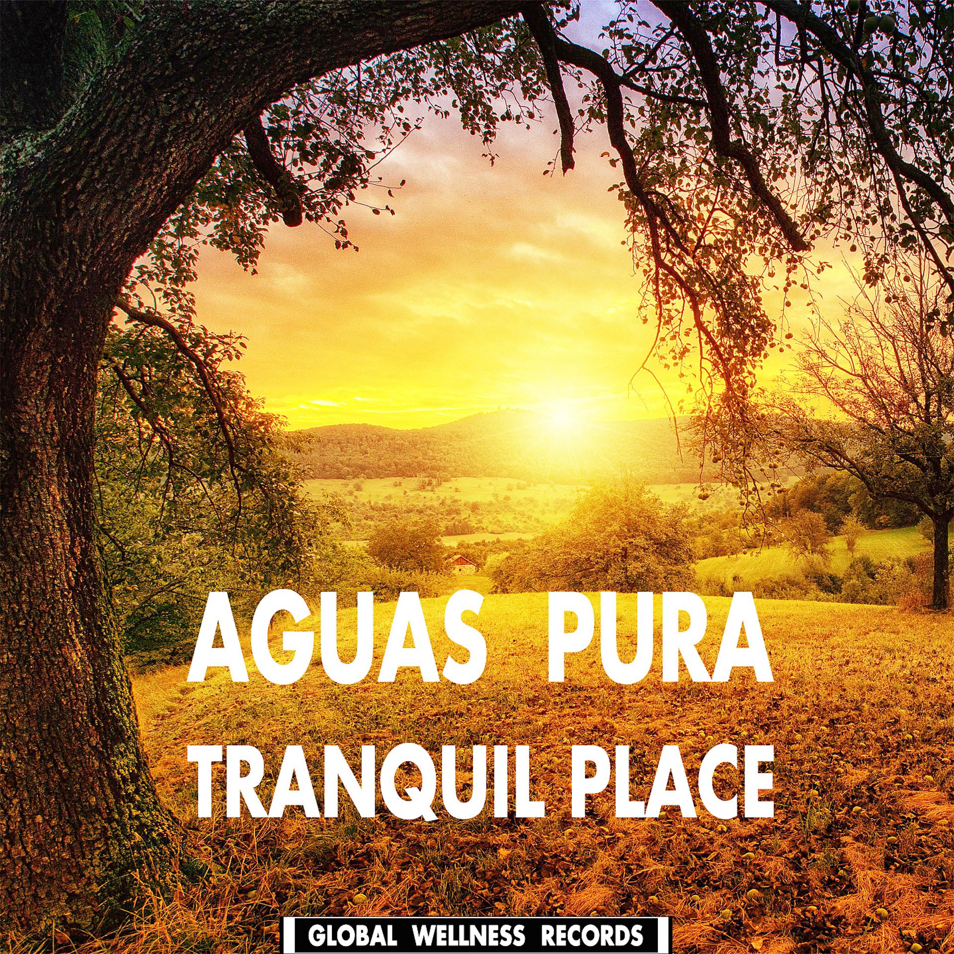 Постер альбома Tranquil Place
