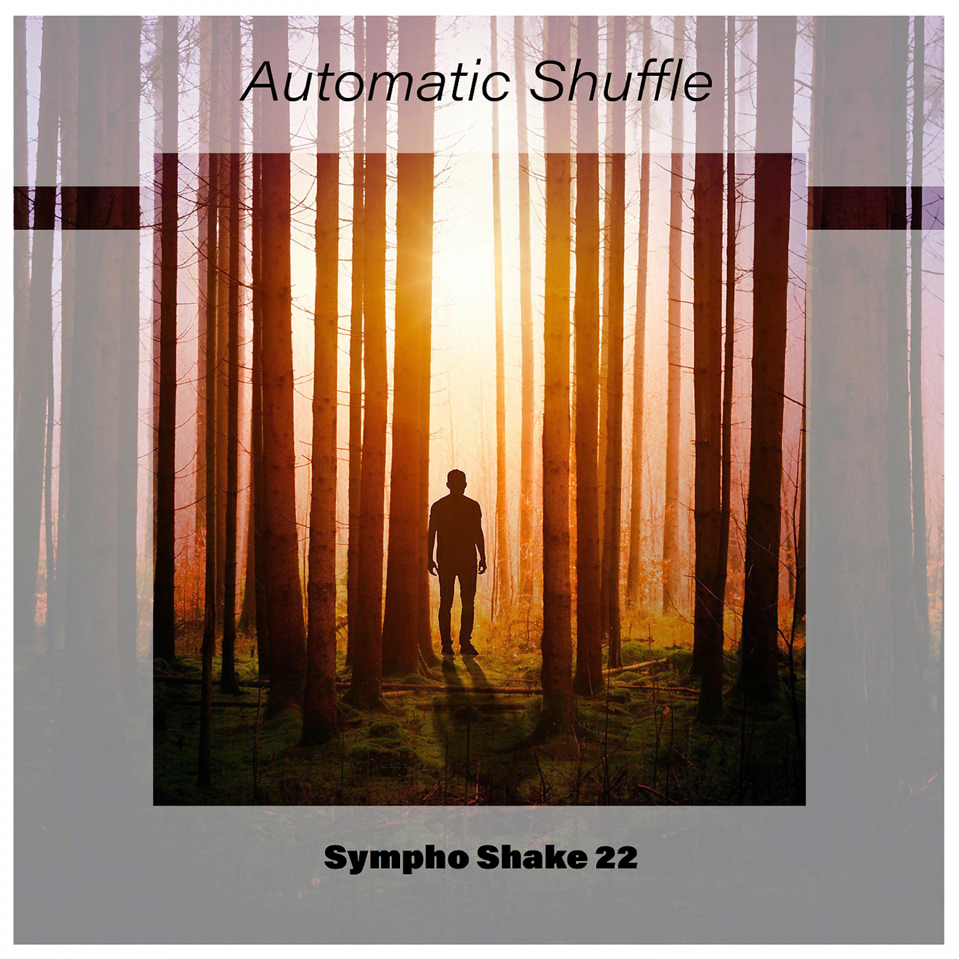 Постер альбома Automatic Shuffle Sympho Shake 22