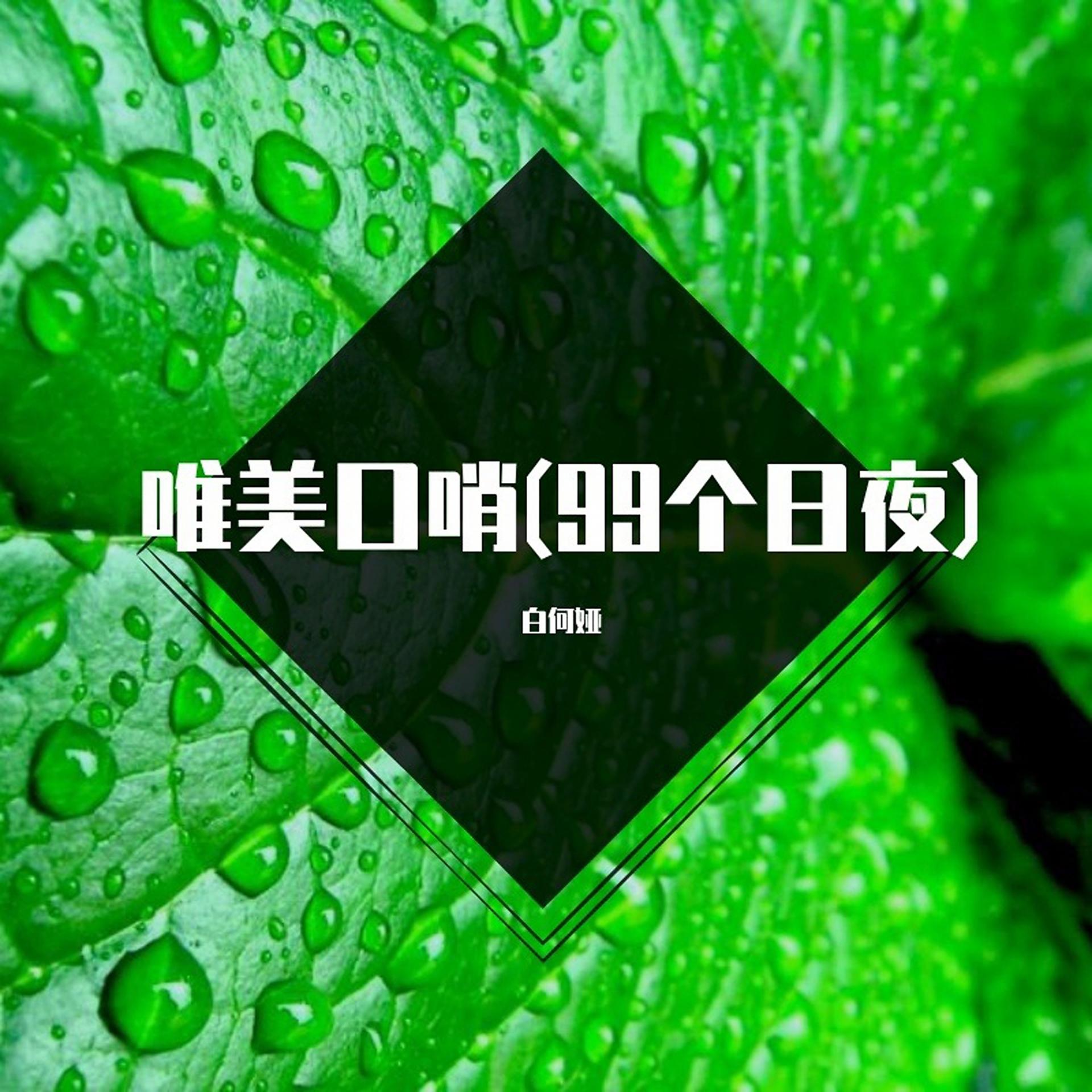 Постер альбома 唯美口哨(99个日夜)