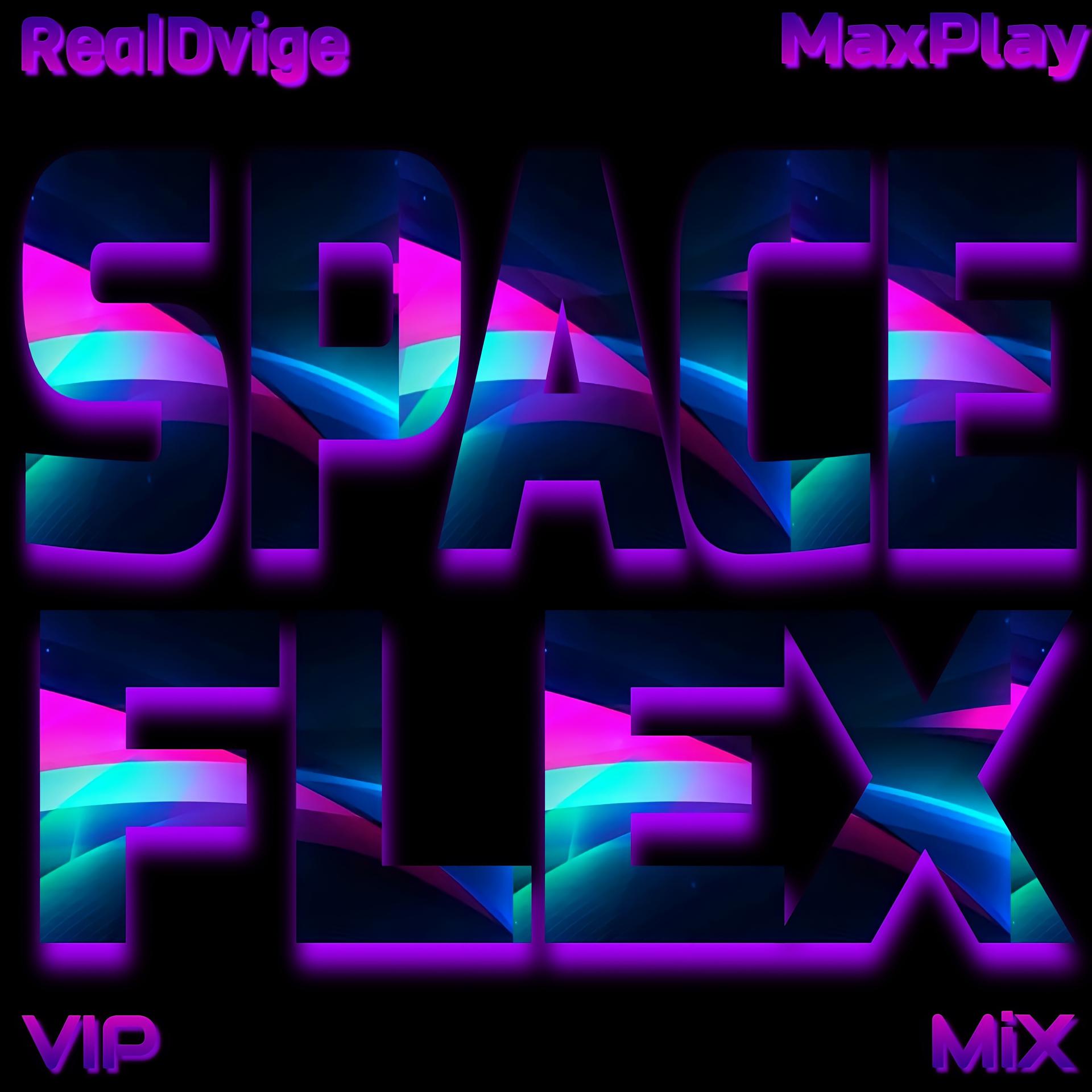 Постер альбома Space Flex (Vip Mix)