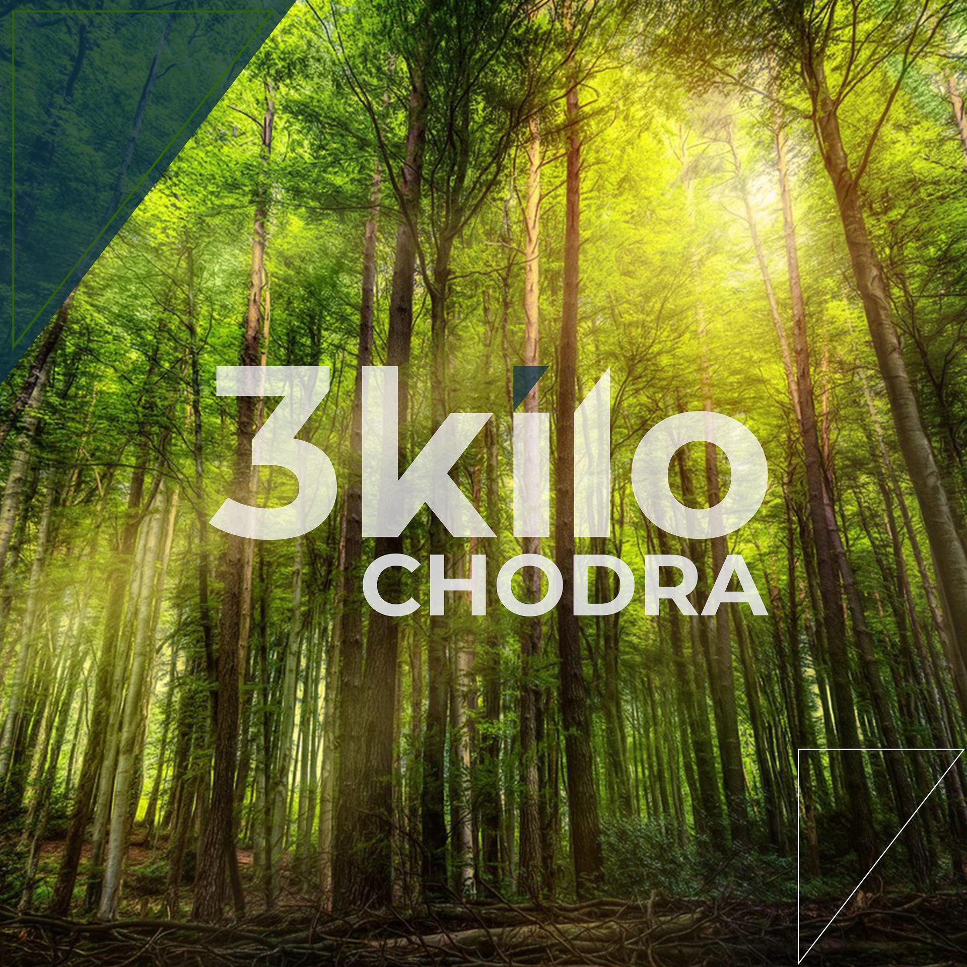 Постер альбома Chodra