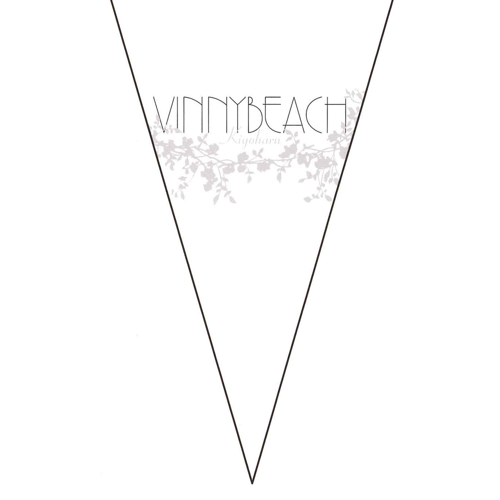 Постер альбома Vinnybeach -Kakuno Kaigan-