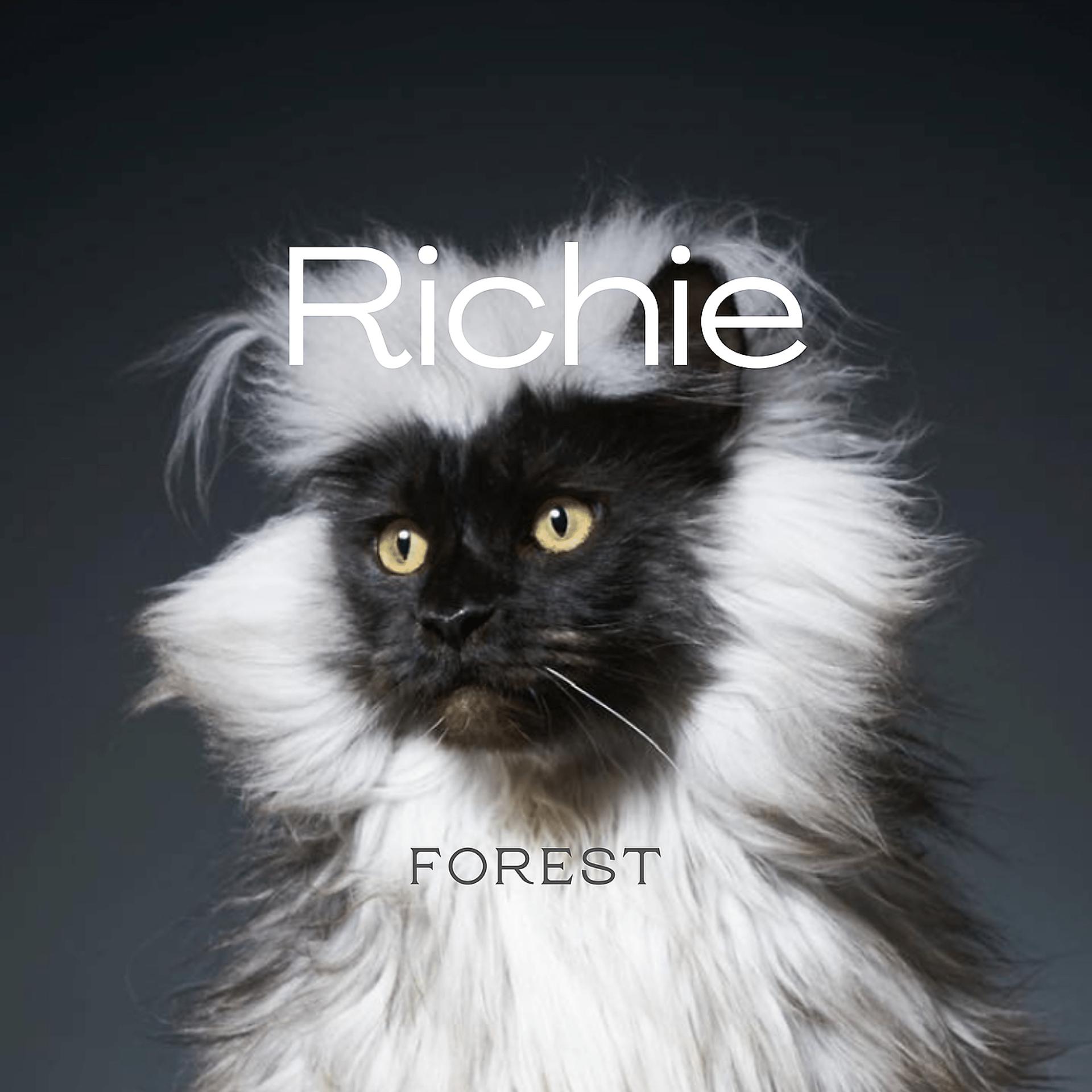 Постер альбома Richie