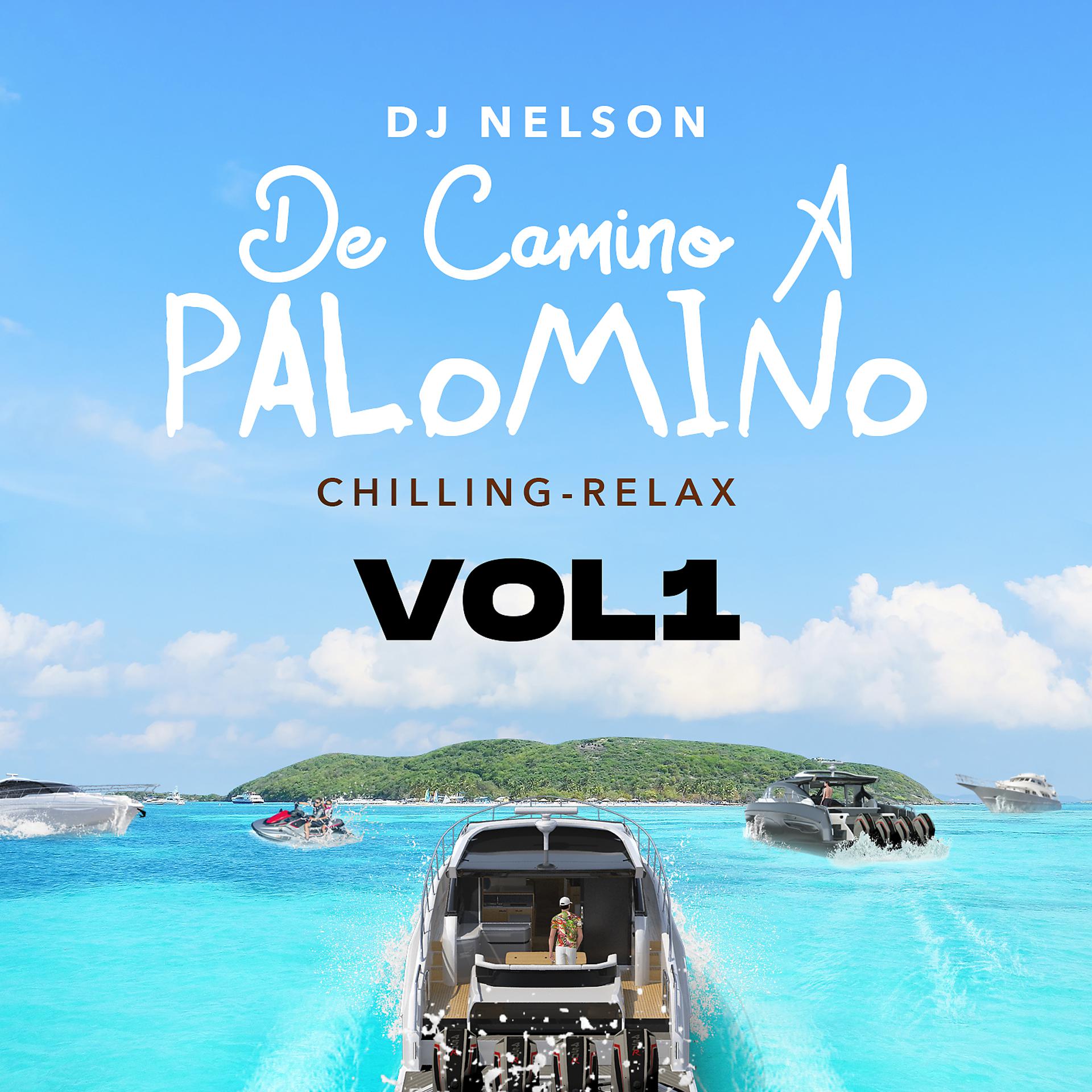 Постер альбома De Camino A Palomino, Vol. 1