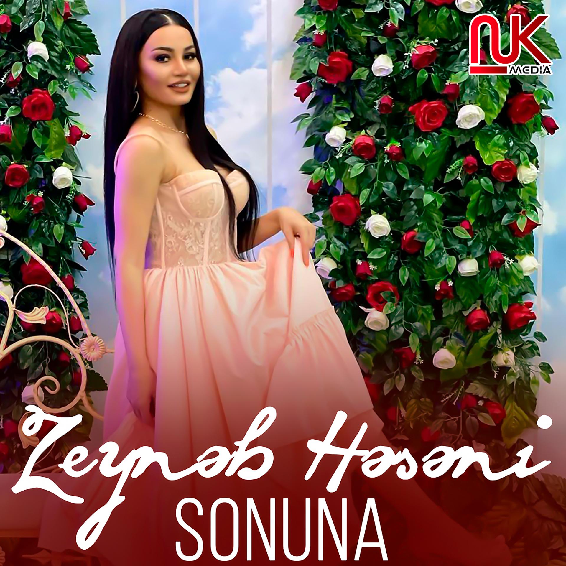 Постер альбома Sonuna