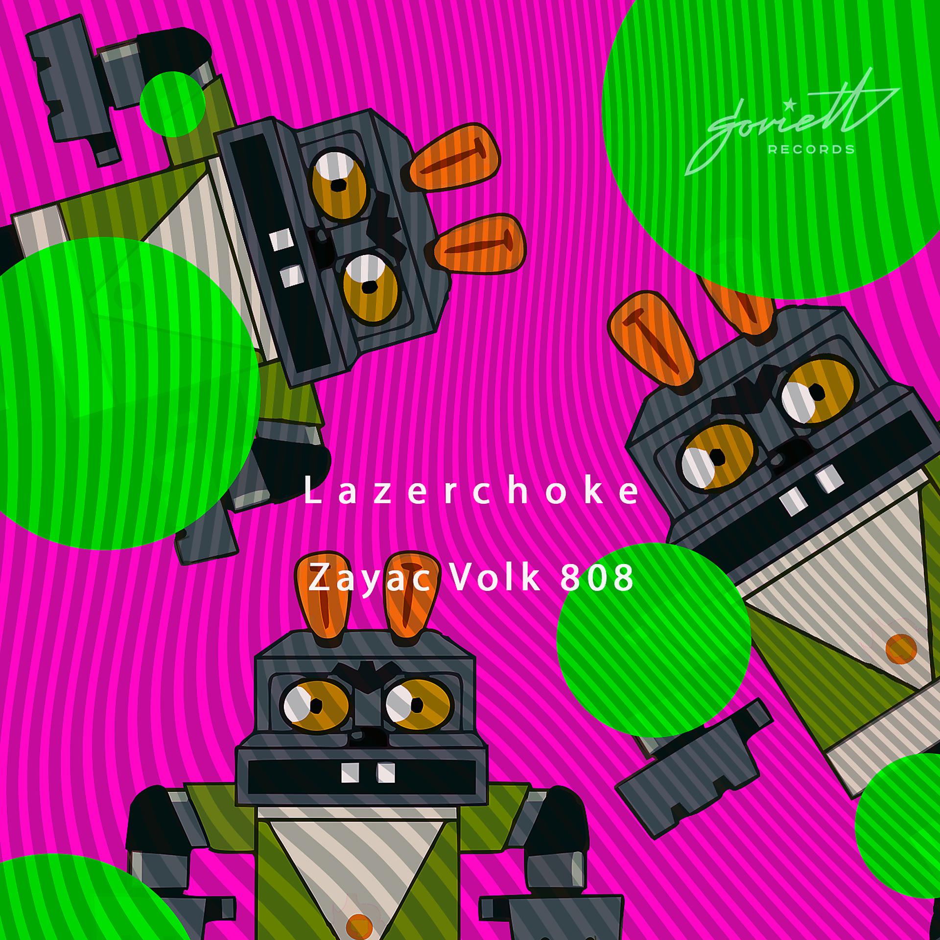 Постер альбома Zayac Volk 808