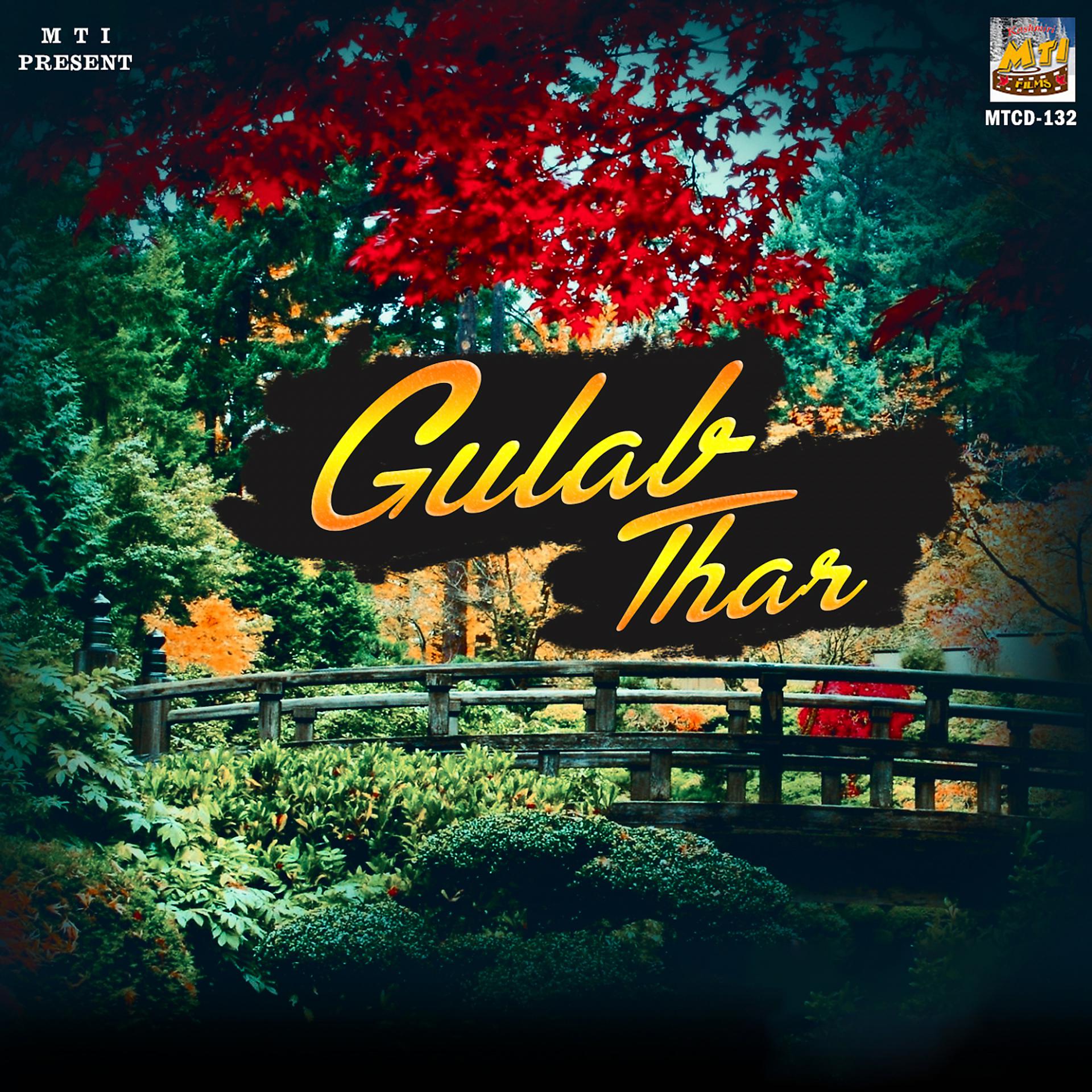 Постер альбома Gulab Thar