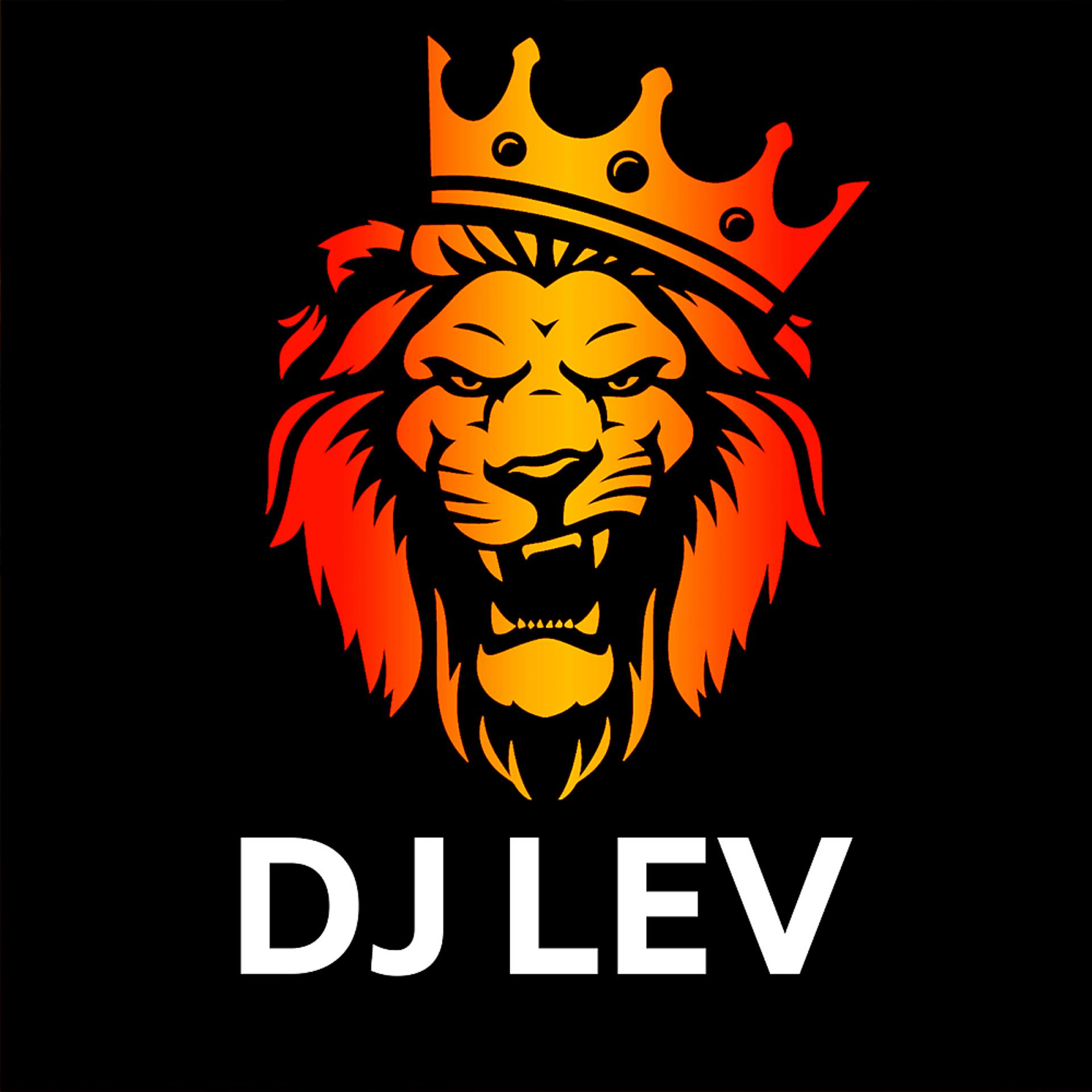 Постер альбома DJ LEV
