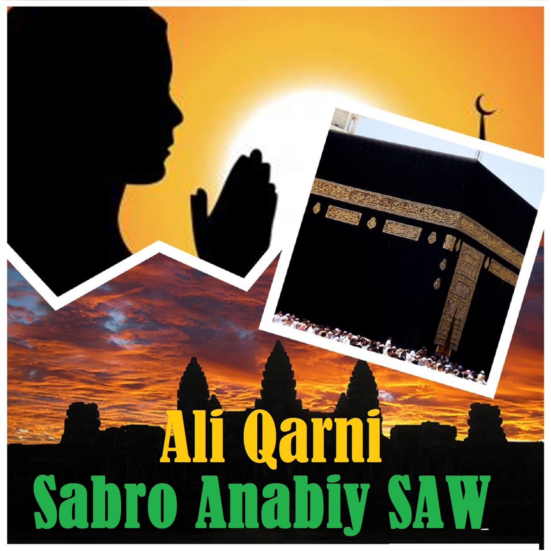 Постер альбома Sabro Anabiy SAW