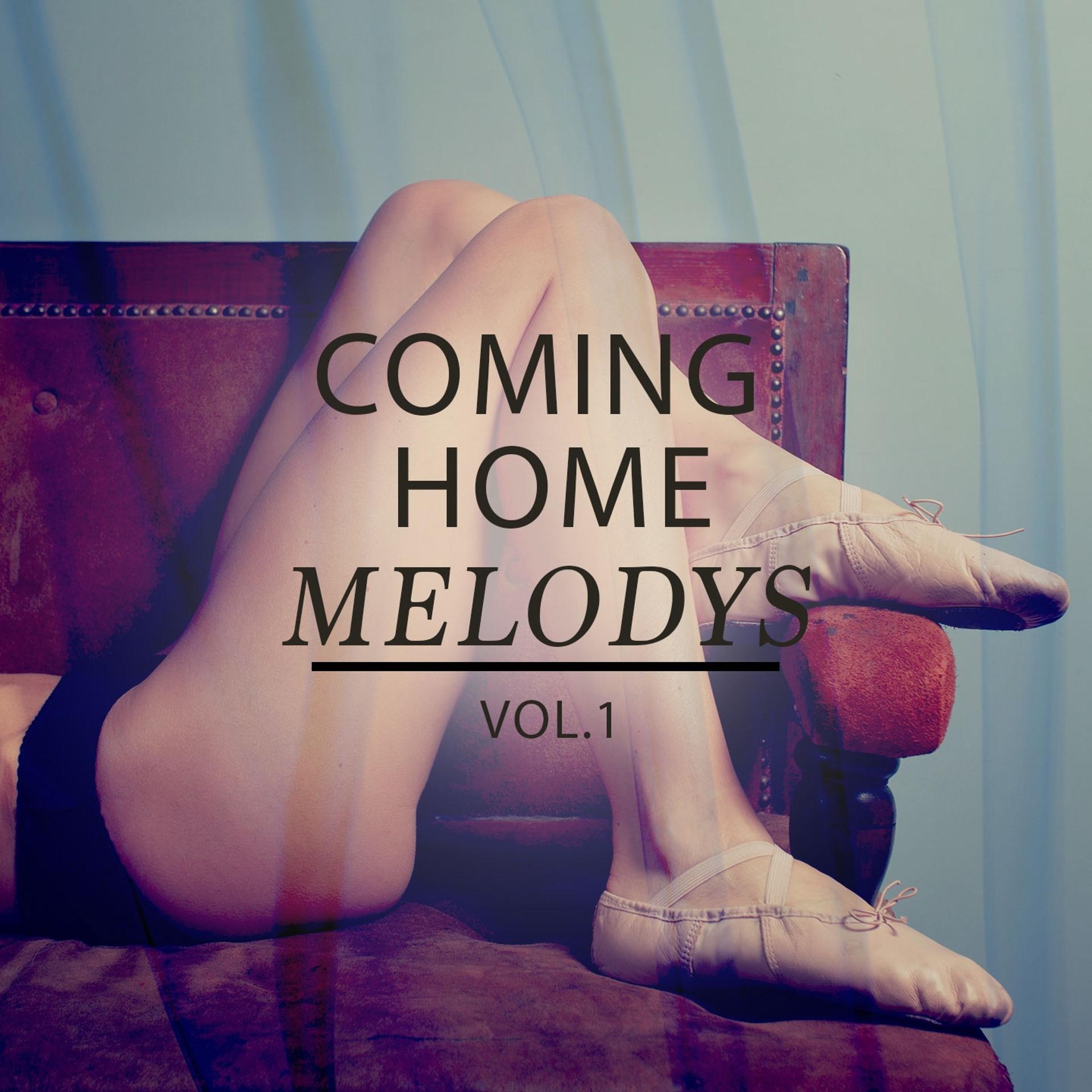 Постер альбома Coming Home Melodys, Vol. 1