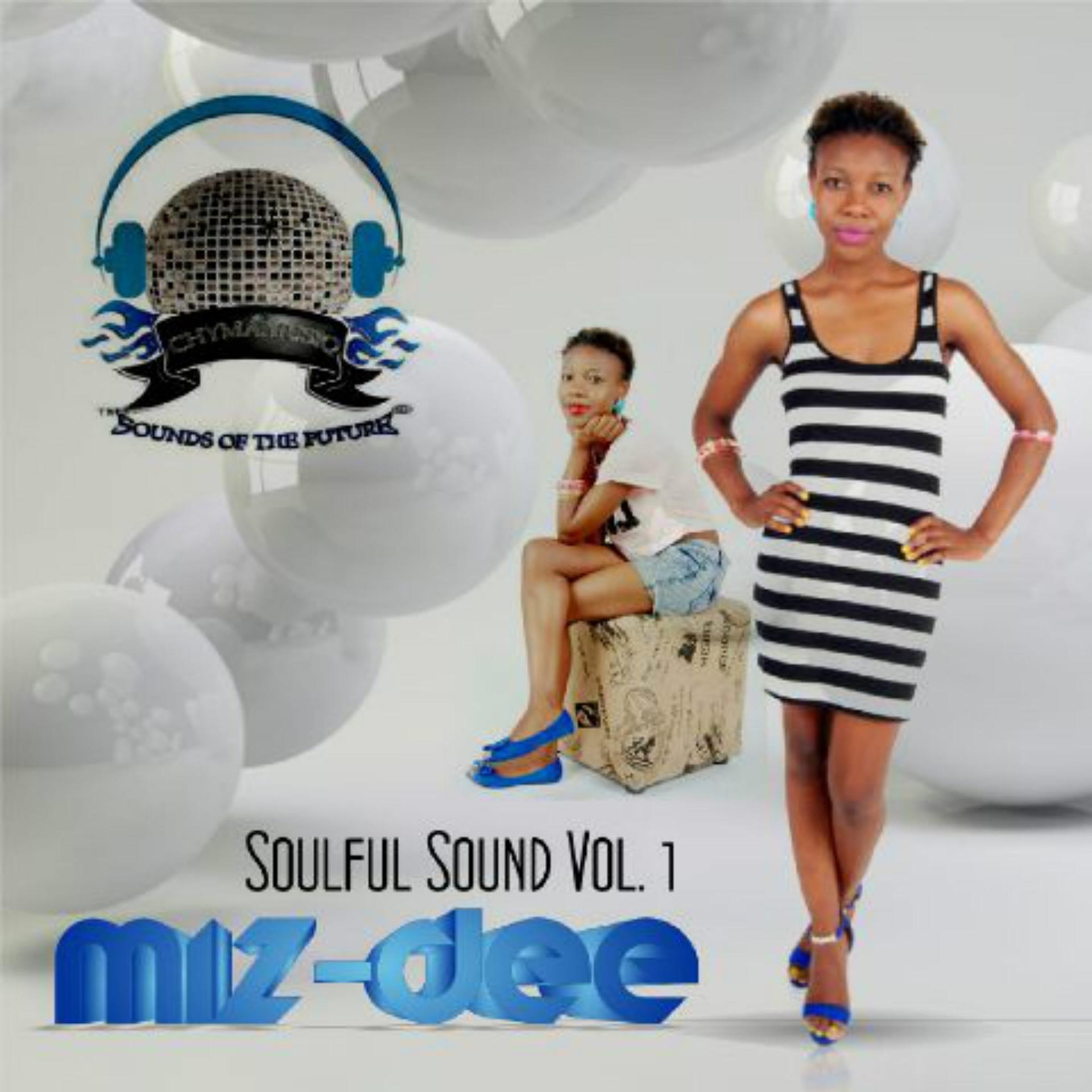 Постер альбома Soulful Sounds, Vol 1