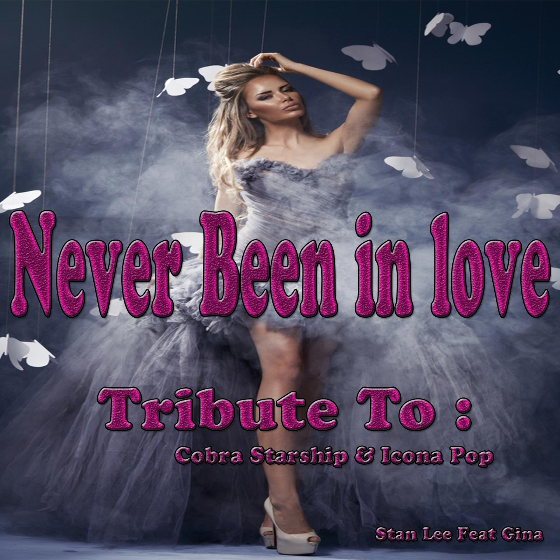 Постер альбома Never Been in Love: Tribute to Cobra Starship, Icona Pop