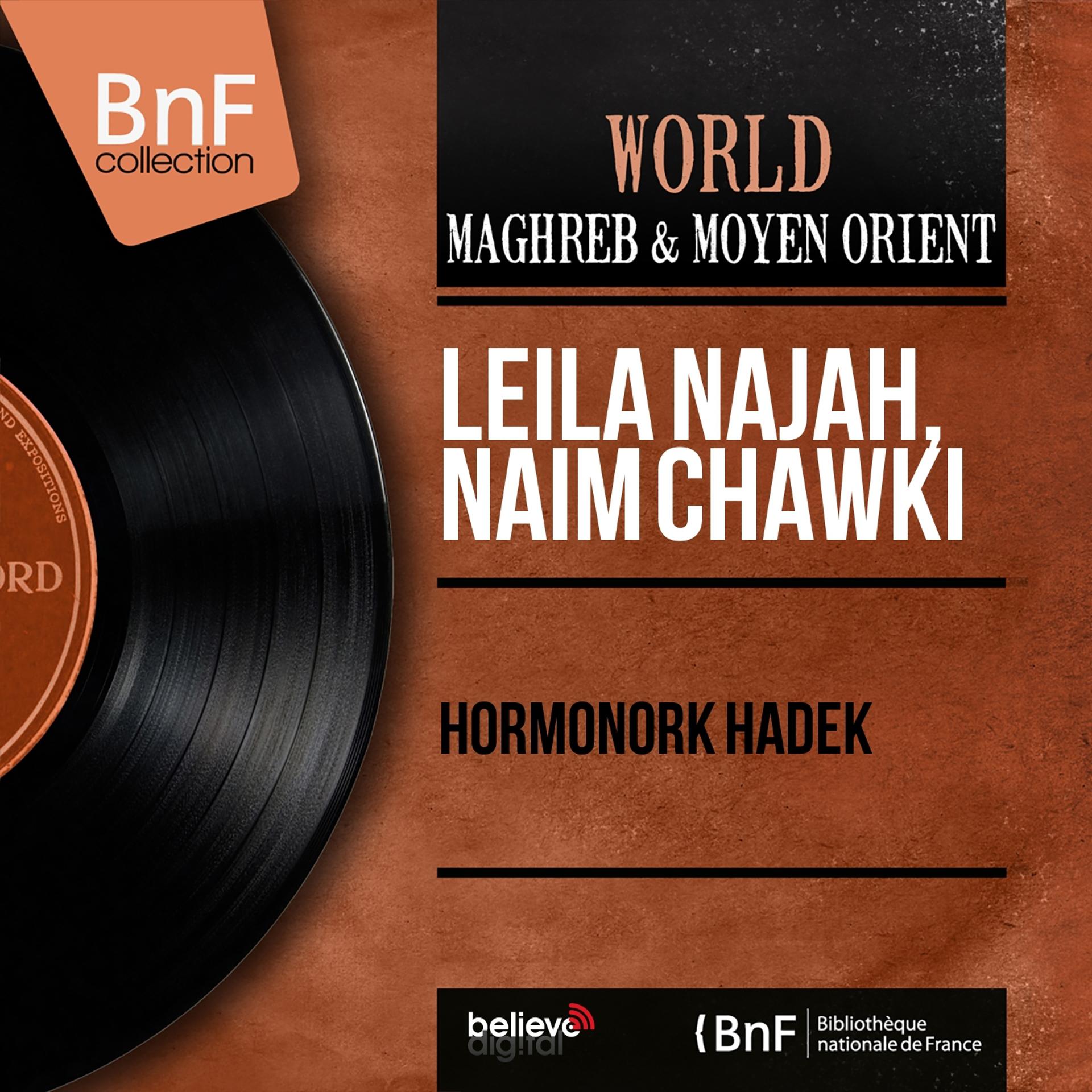 Постер альбома Hormonork Hadek (Mono Version)