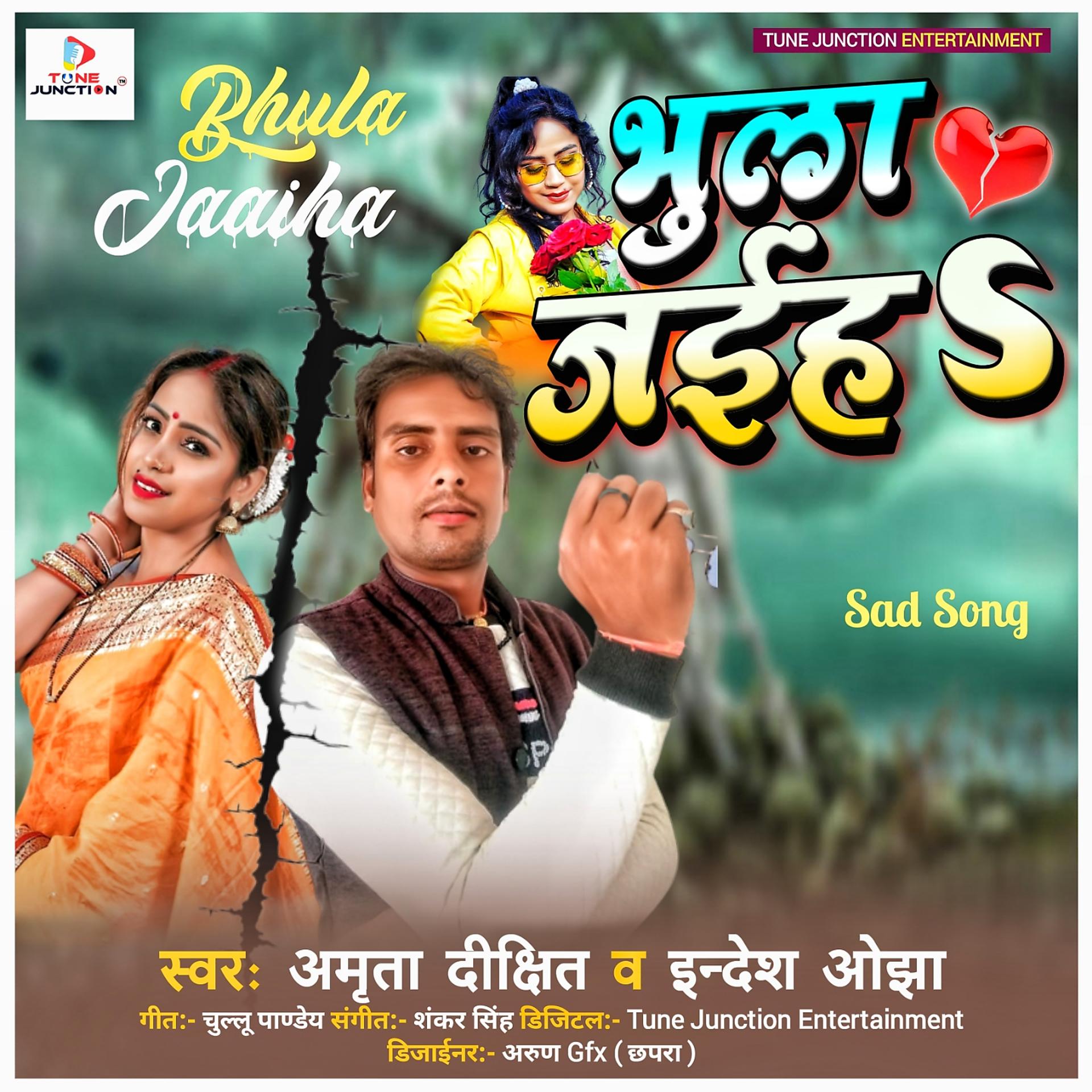 Постер альбома Bhula Jaaiha