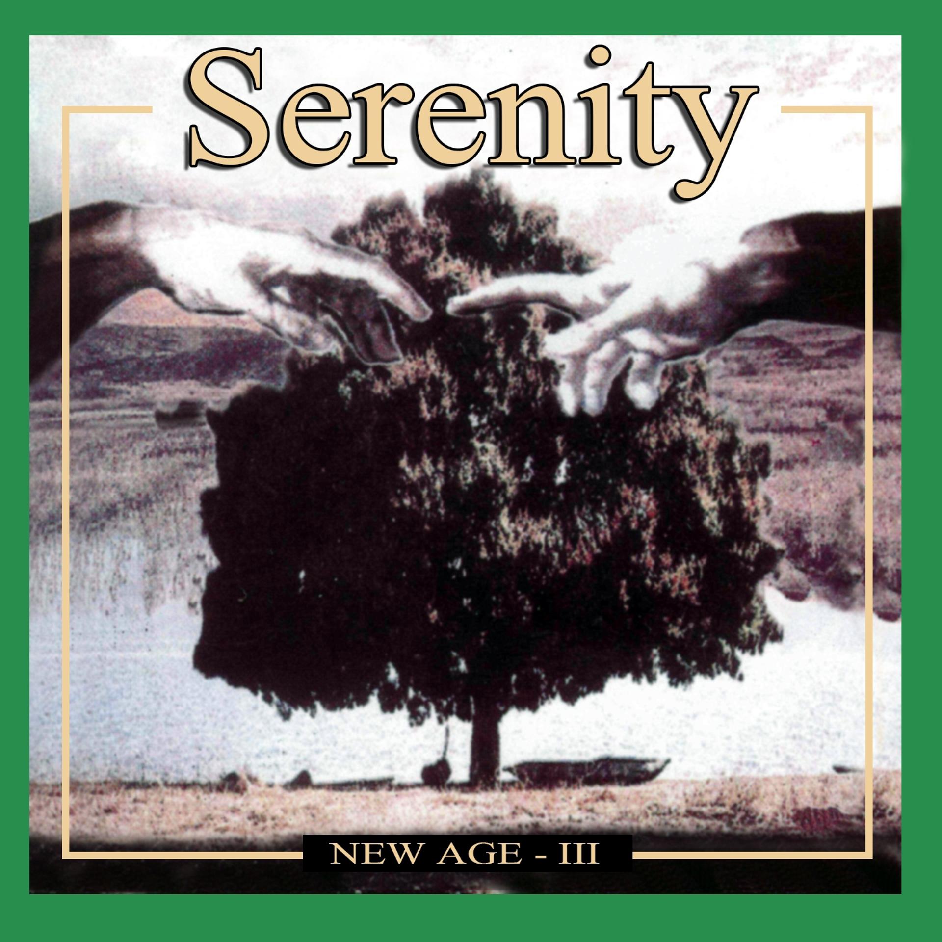 Постер альбома Serenity New Age, Vol. 3