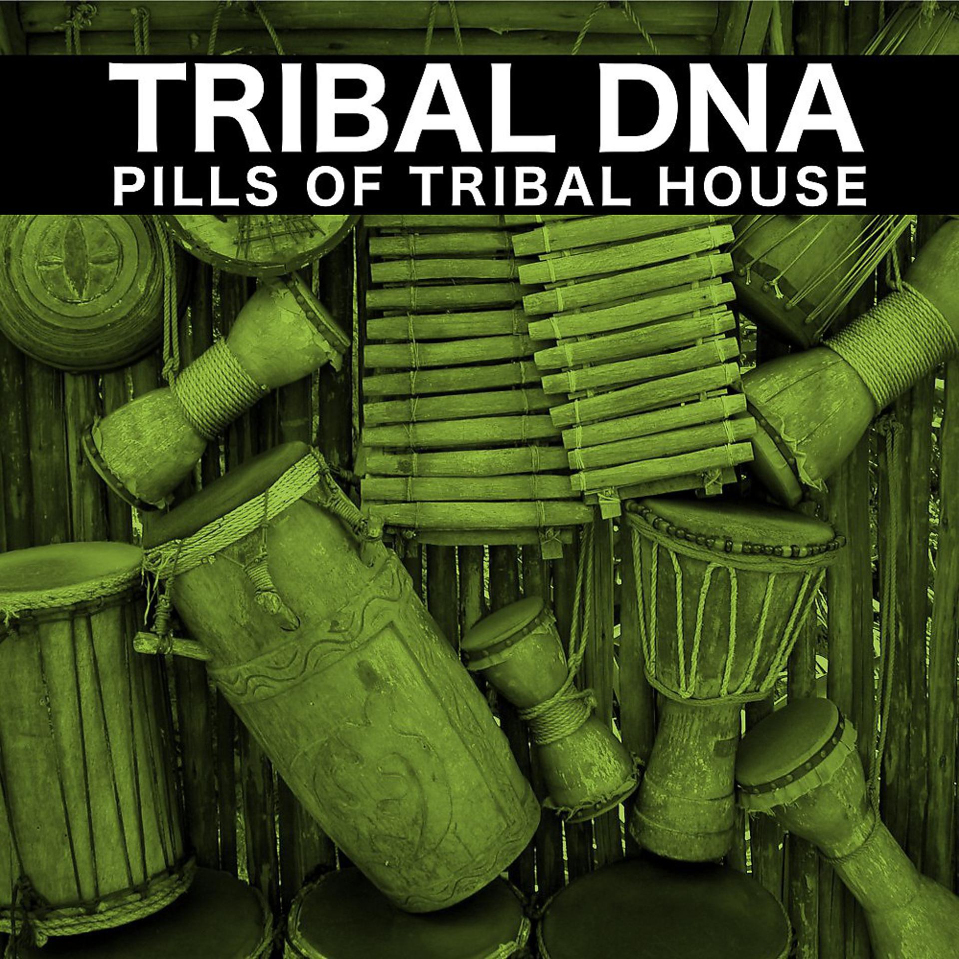 Постер альбома Племенная ДНК (Таблетки племенного дома)
