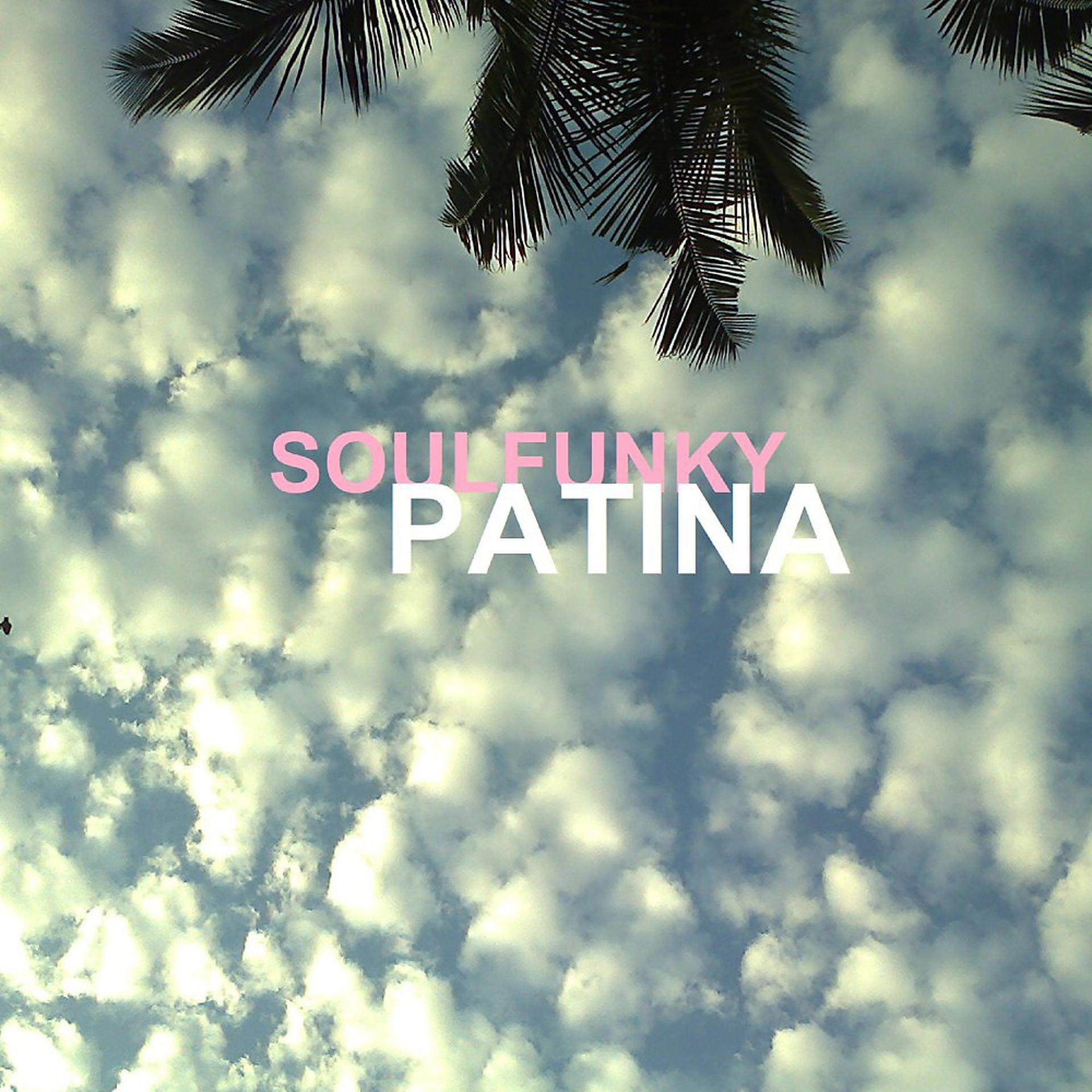 Постер альбома Patina