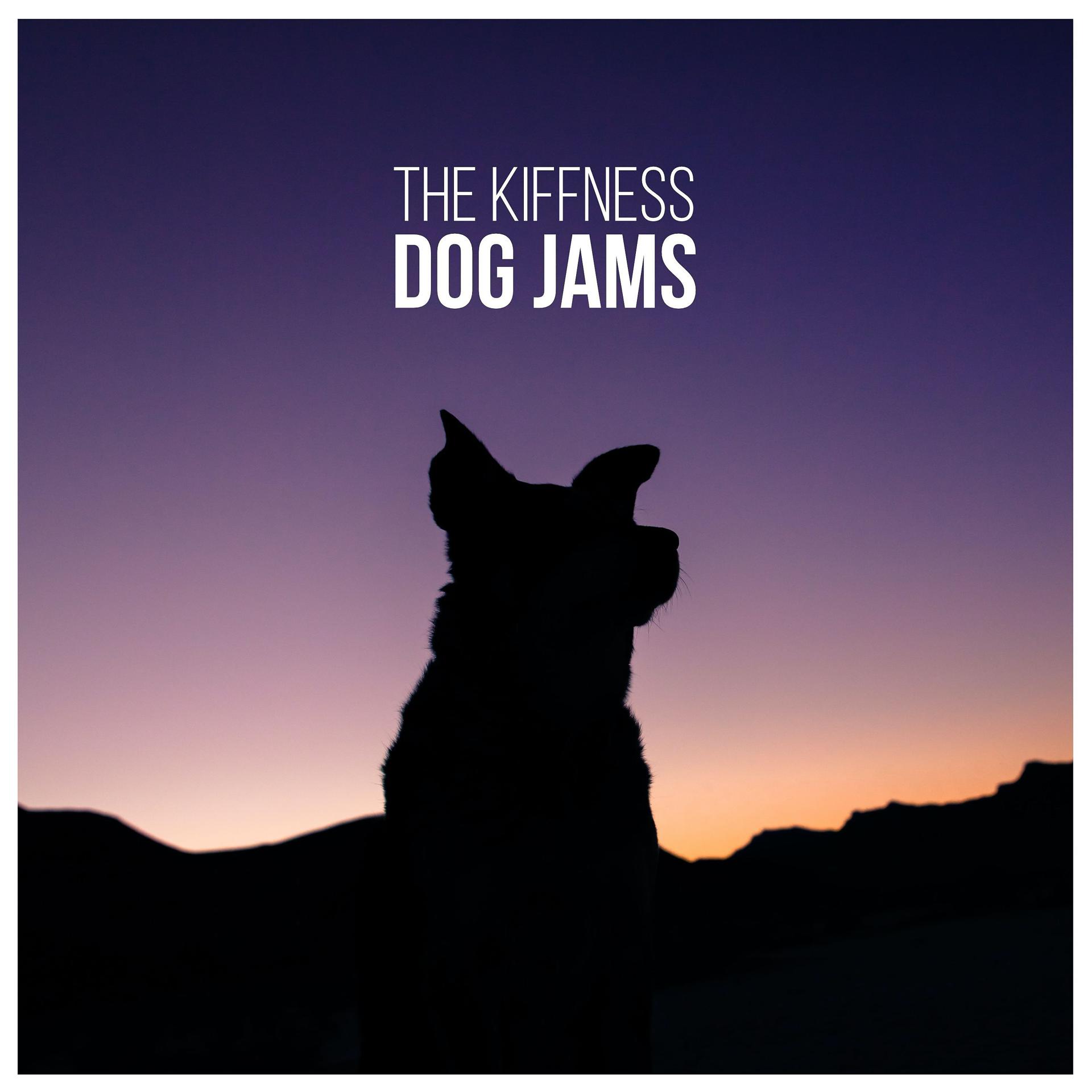 Постер альбома Dog Jams