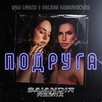 Постер альбома Подруга (SAlANDIR Remix)