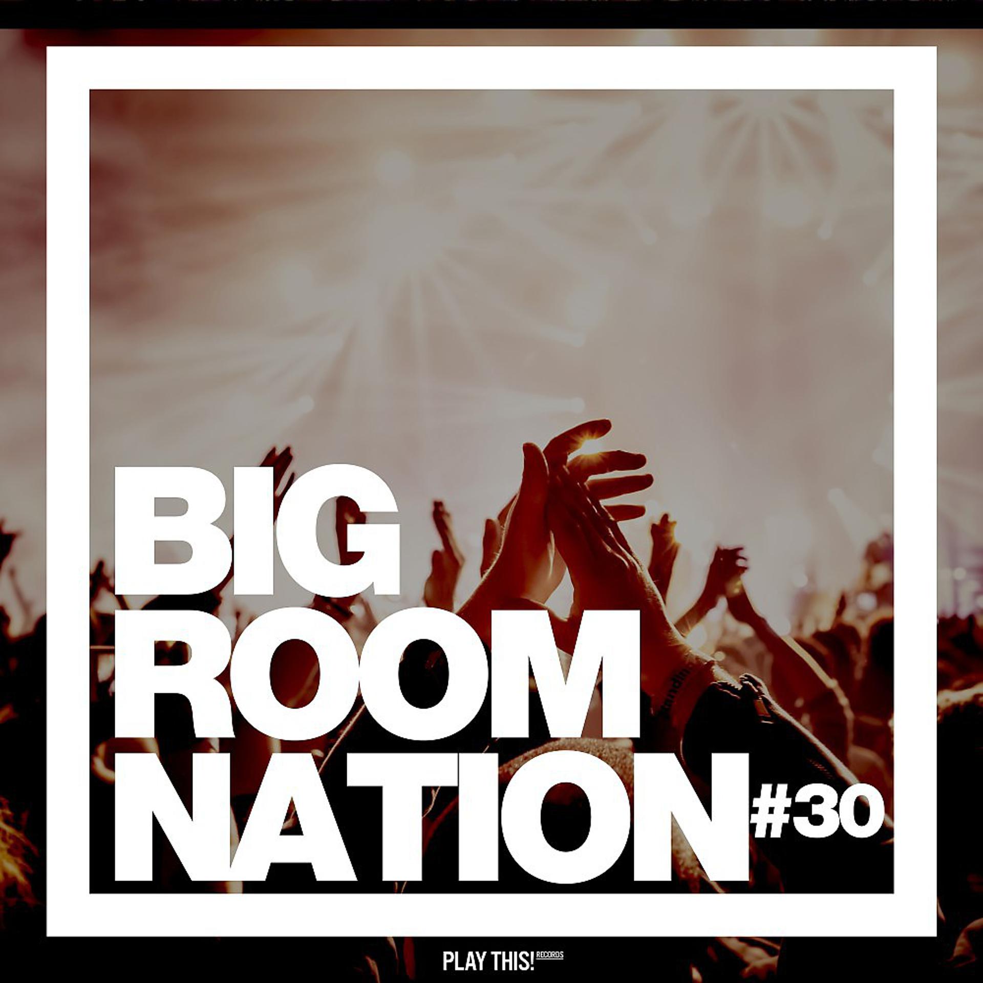 Постер альбома Big Room Nation, Vol. 30