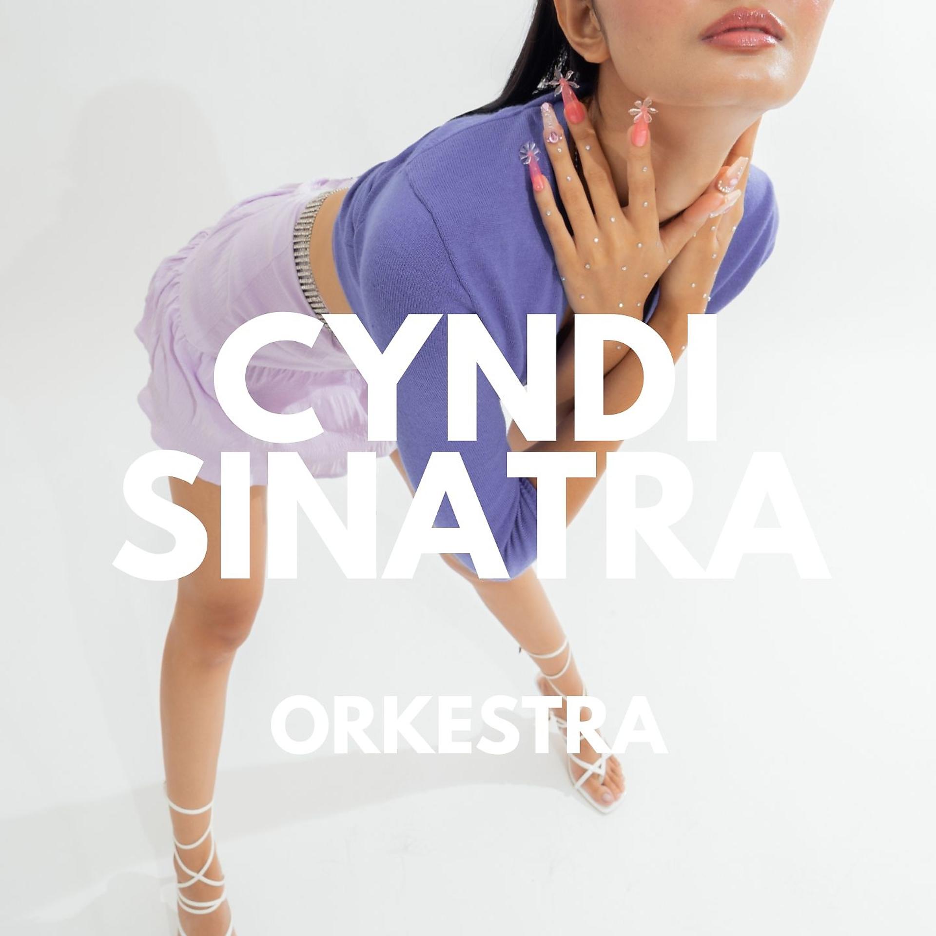 Постер альбома Orkestra
