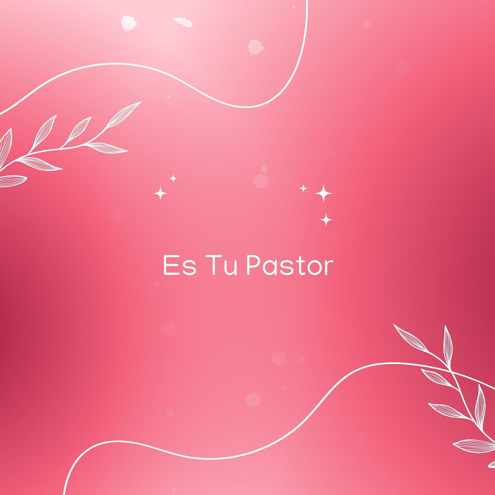 Постер альбома Es Tu Pastor