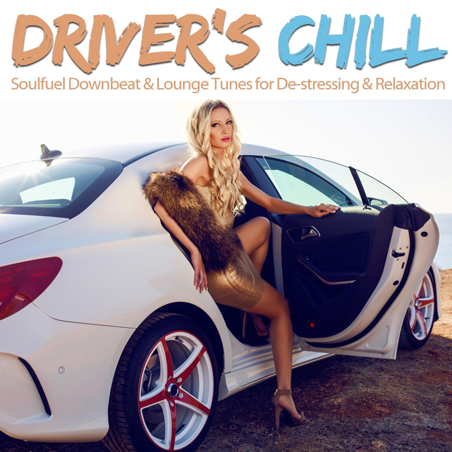 Постер альбома Driver's Chill