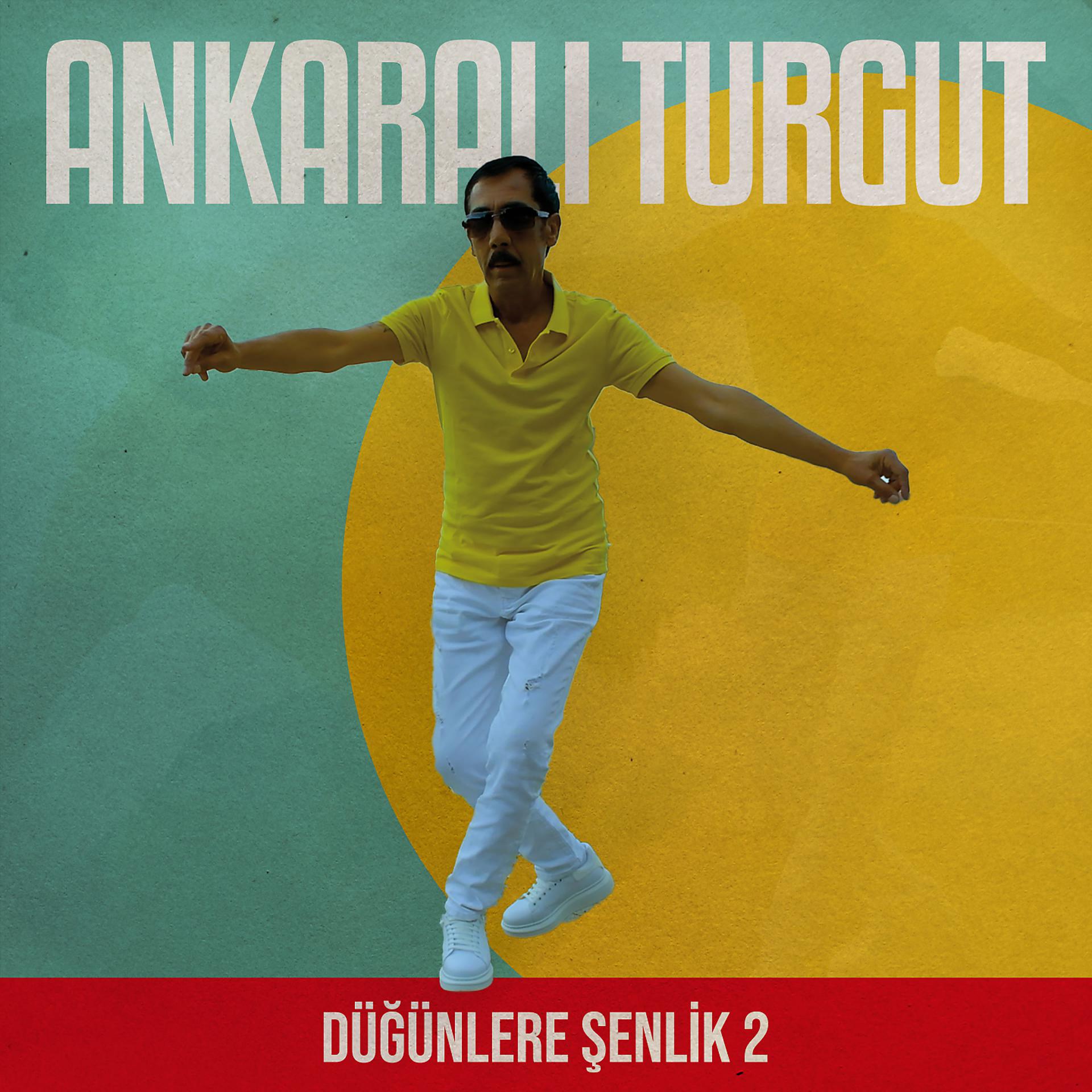 Постер альбома Düğünlere Şenlik 2