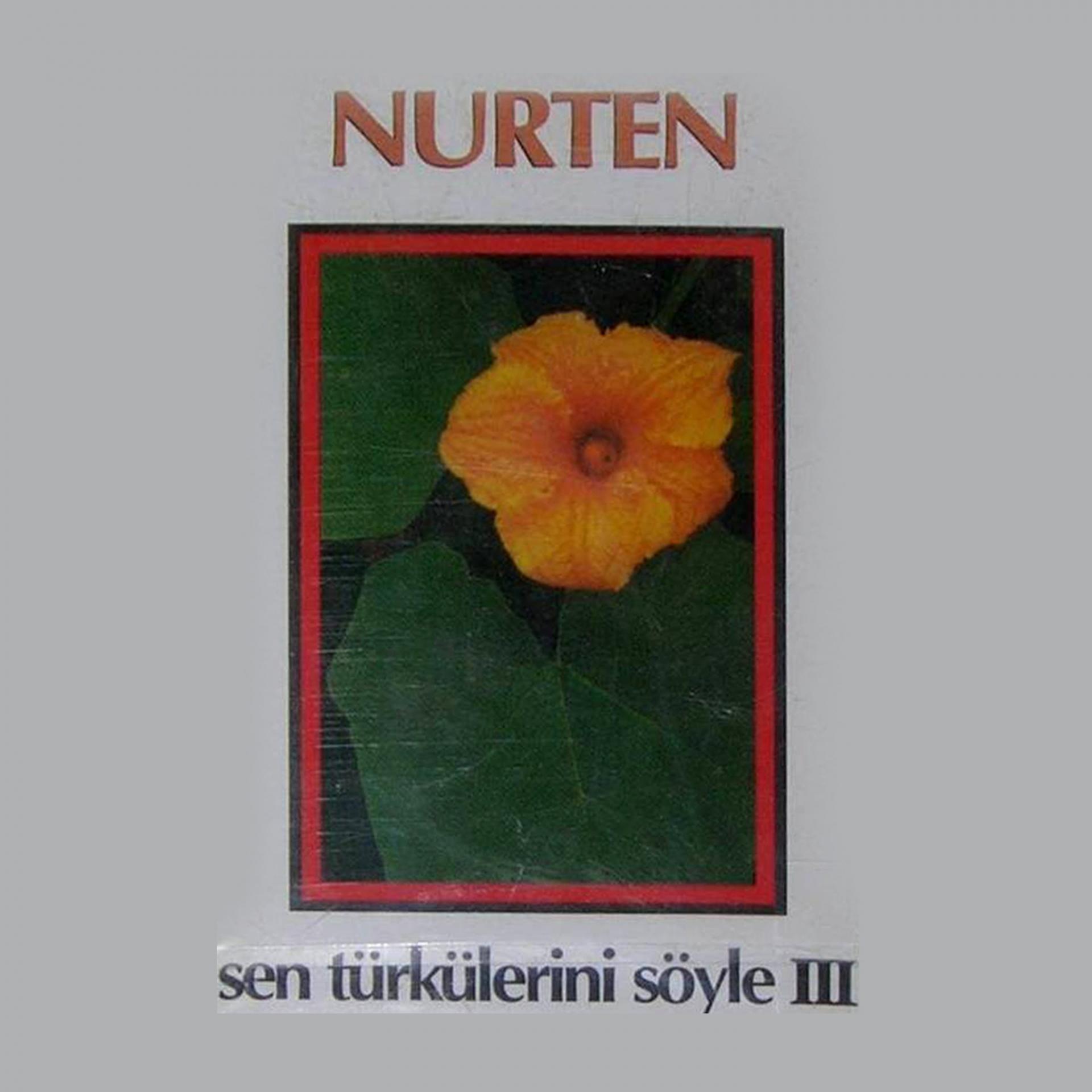 Постер альбома Sen Türkülerini Söyle, Vol. 3