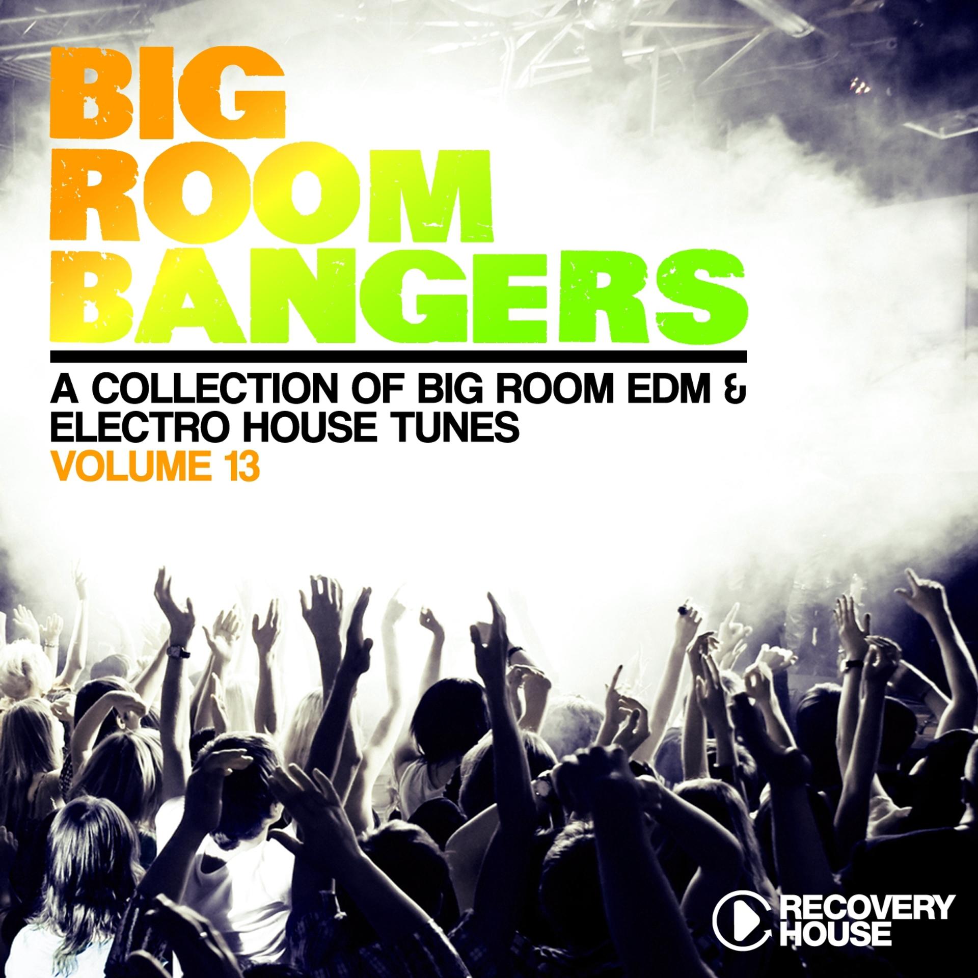 Постер альбома Big Room Bangers, Vol. 13