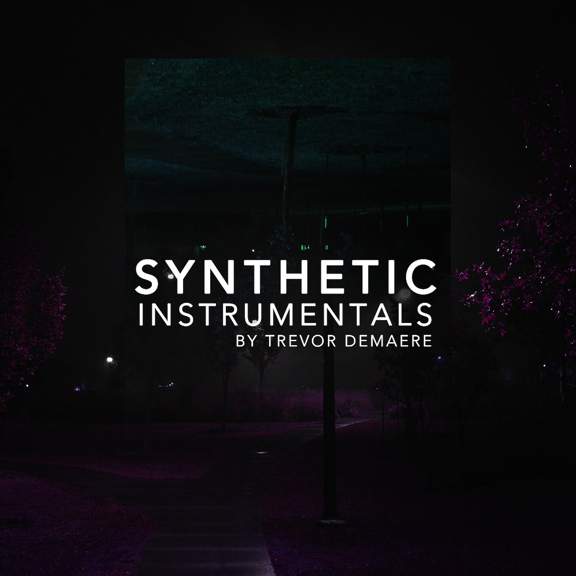 Постер альбома Synthetic Instrumentals