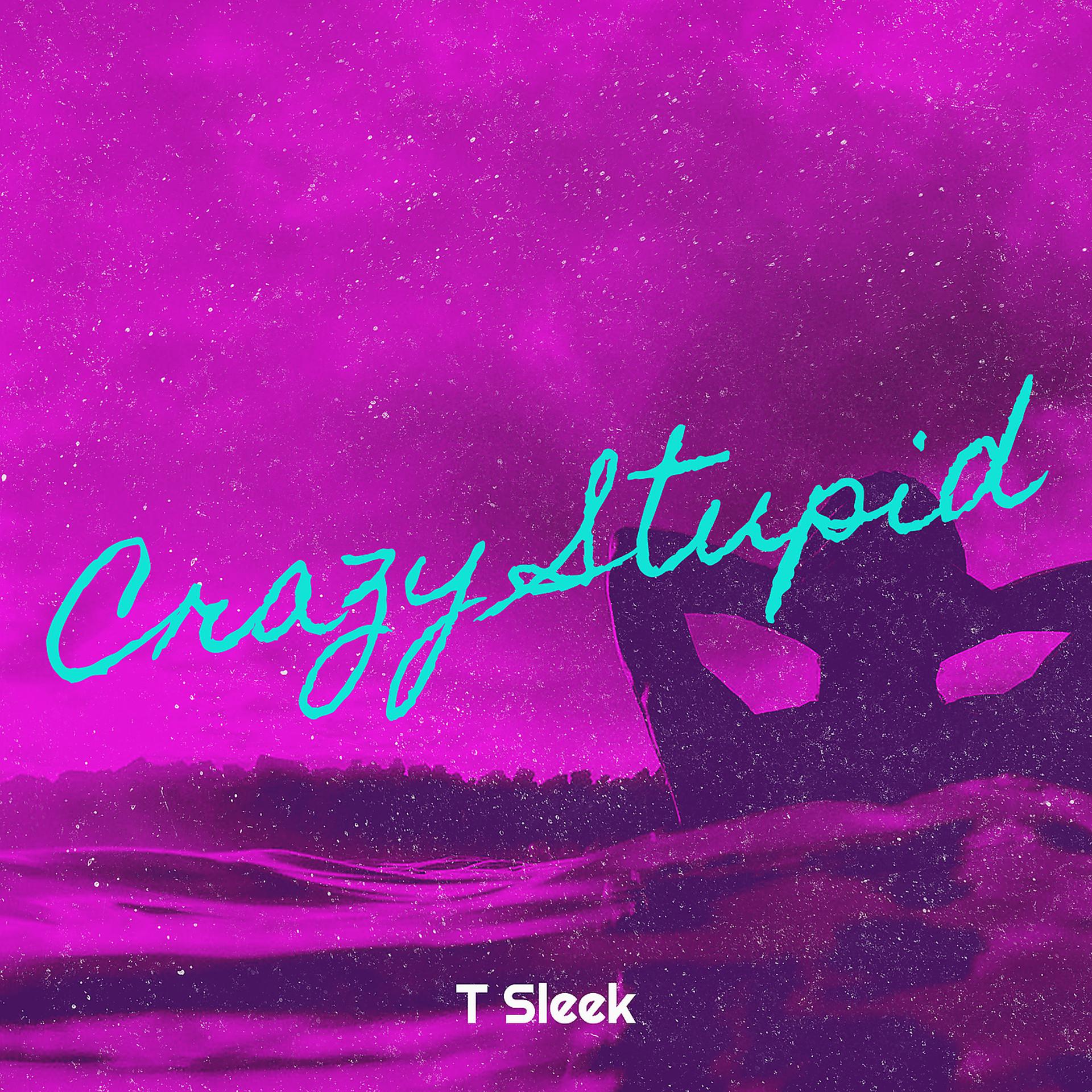 Постер альбома Crazy Stupid