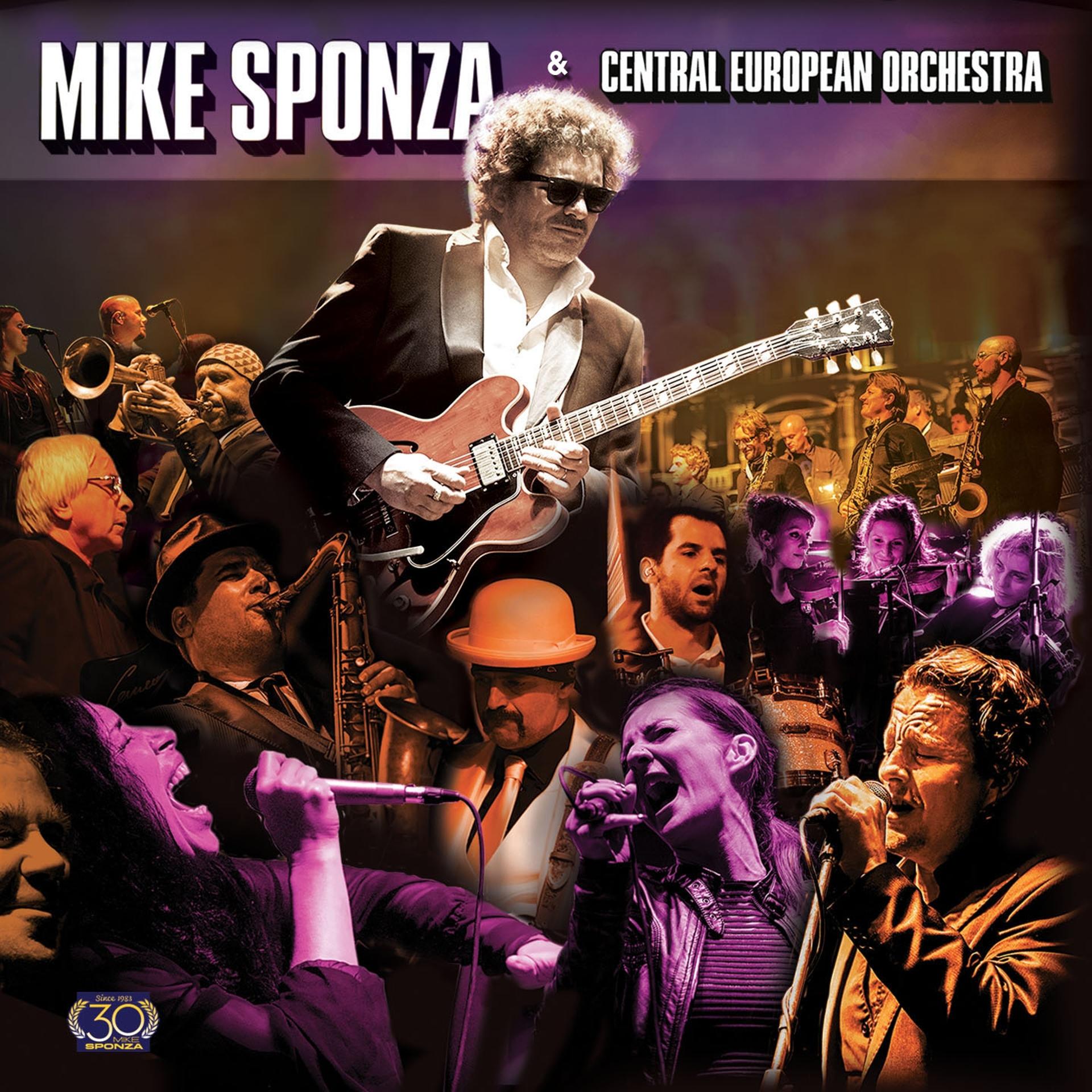 Постер альбома Mike Sponza & Central European Orchestra