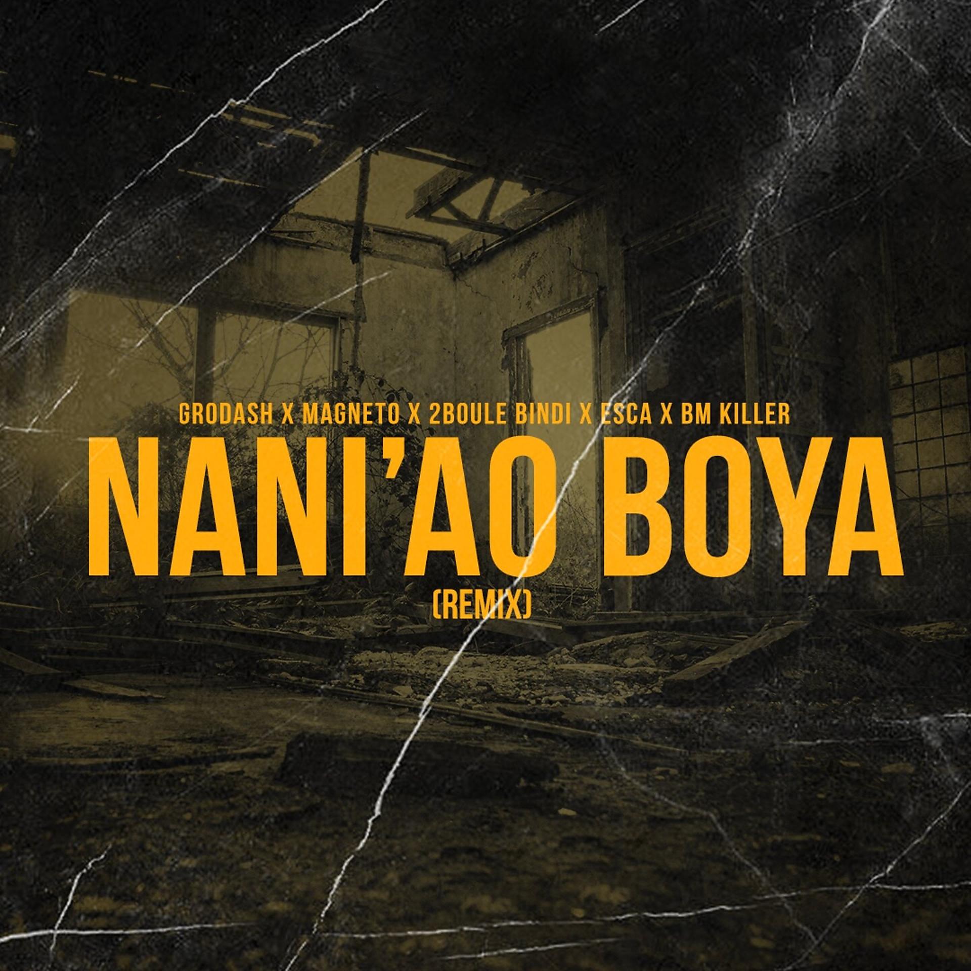 Постер альбома Nani'Ao boya