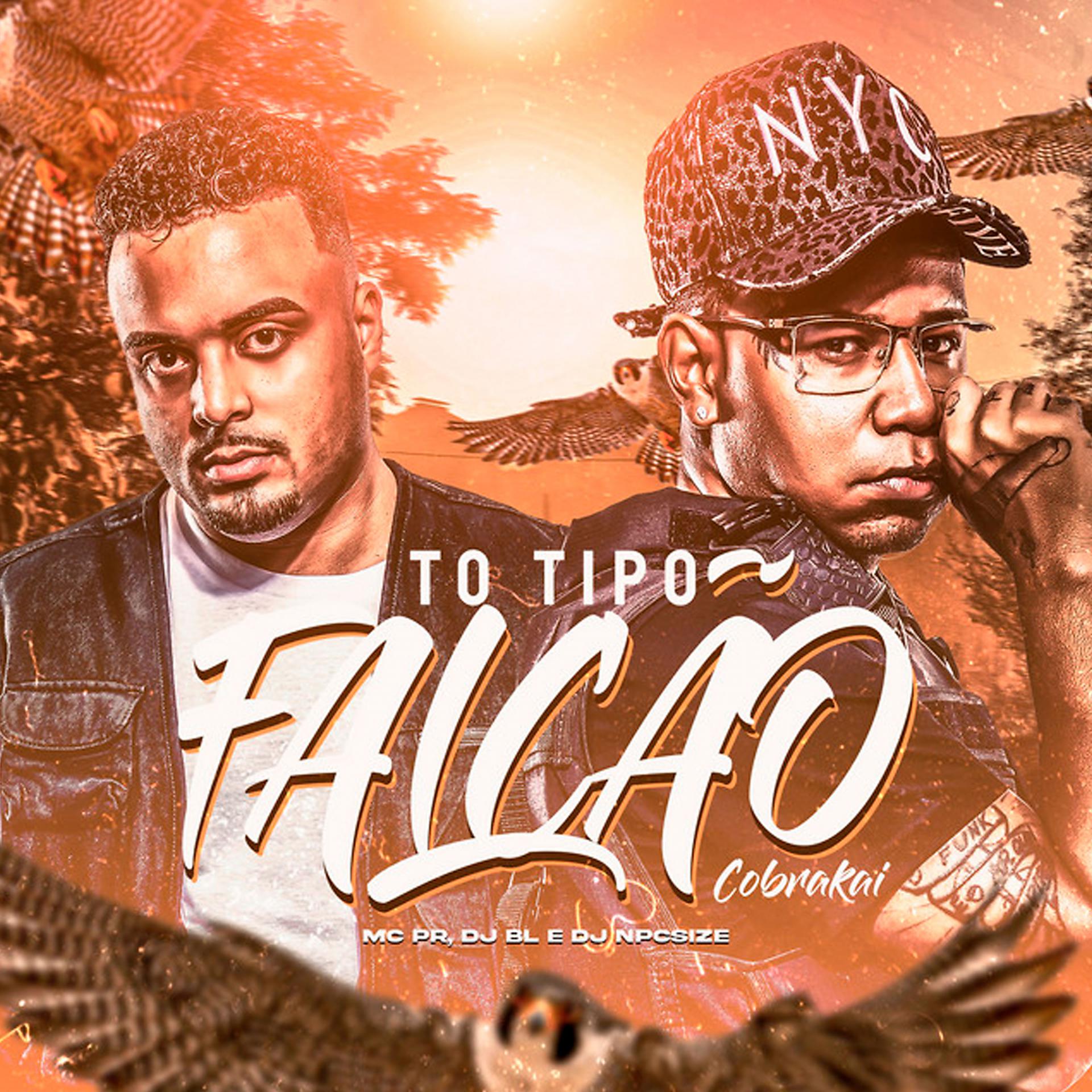 Постер альбома To Tipo Falcão Cobrakai