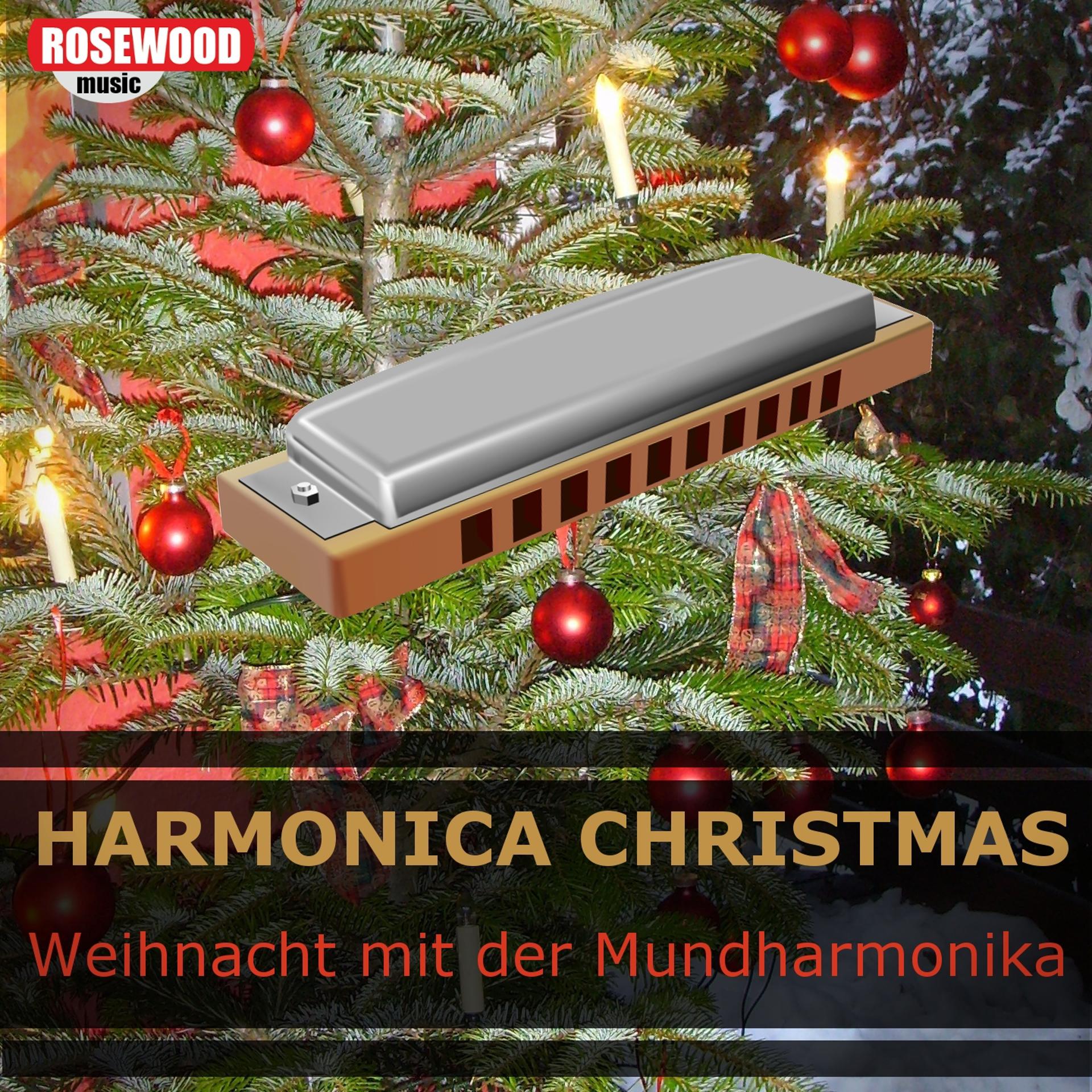 Постер альбома Harmonica Christmas