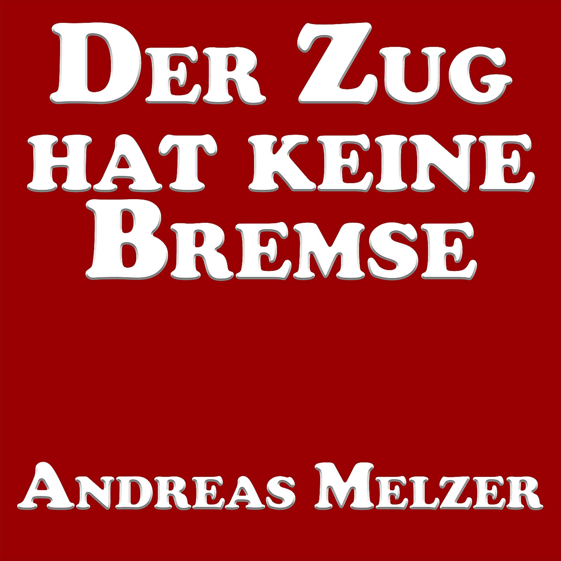 Постер альбома Der Zug Hat Keine Bremse