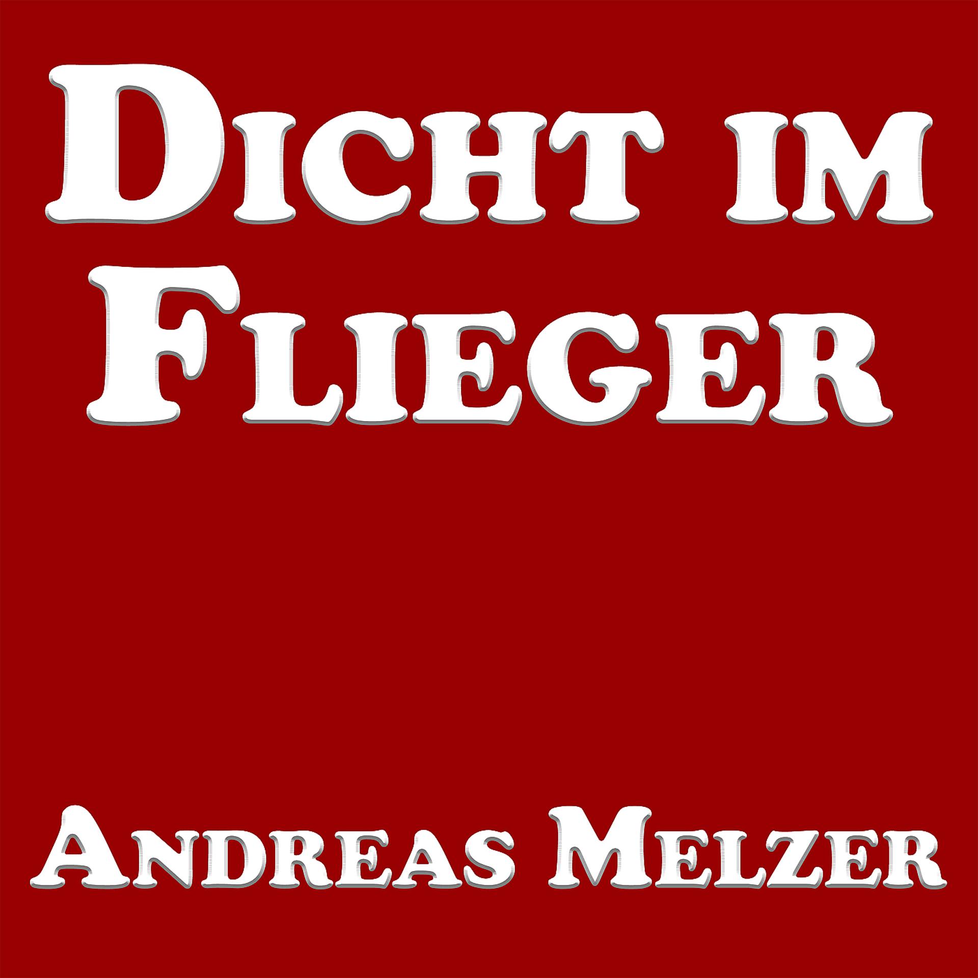 Постер альбома Dicht Im Flieger