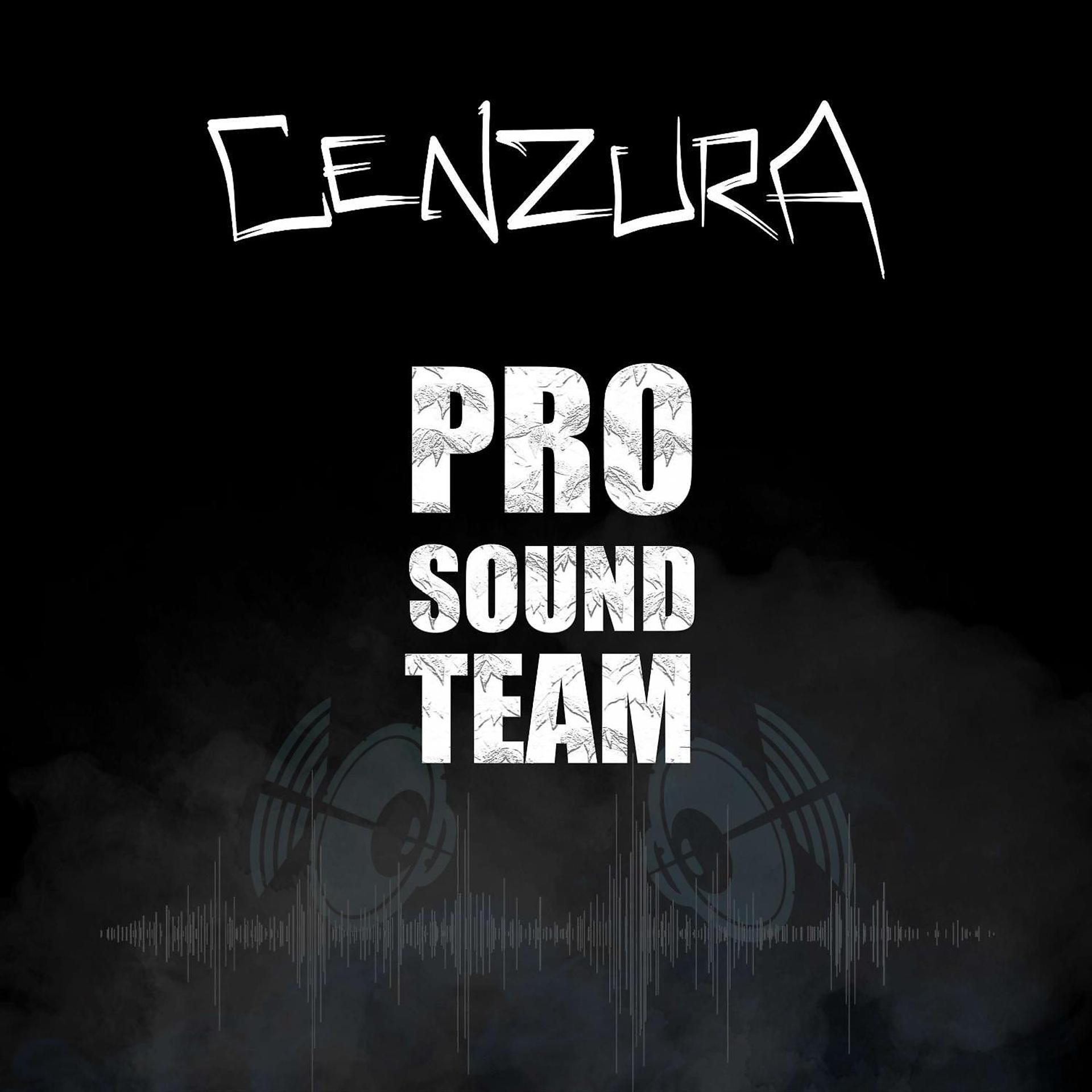 Постер альбома Pro Sound Team