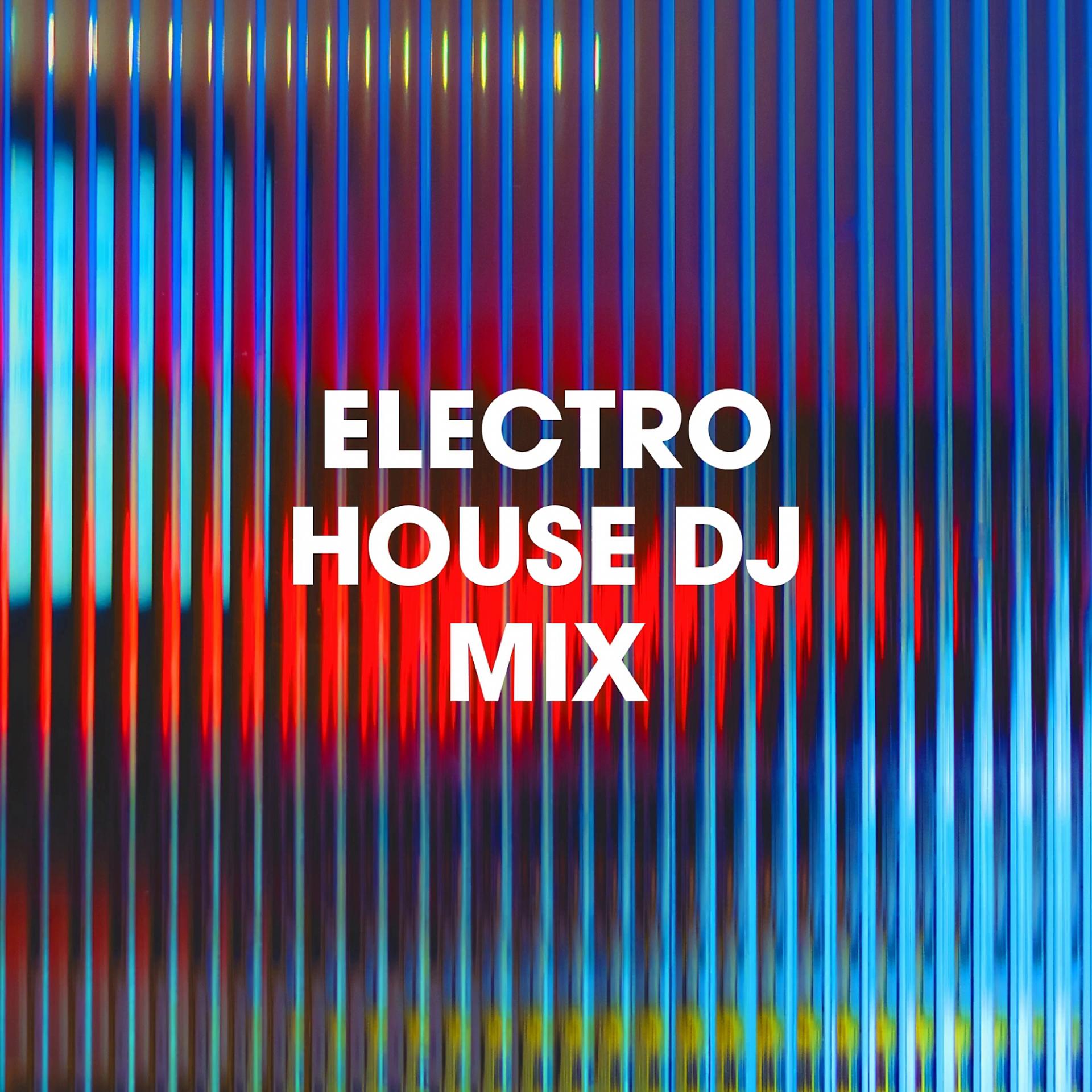Постер альбома Electro House DJ Mix