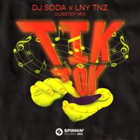 Постер альбома Tik Tok (Dubstep Mix)