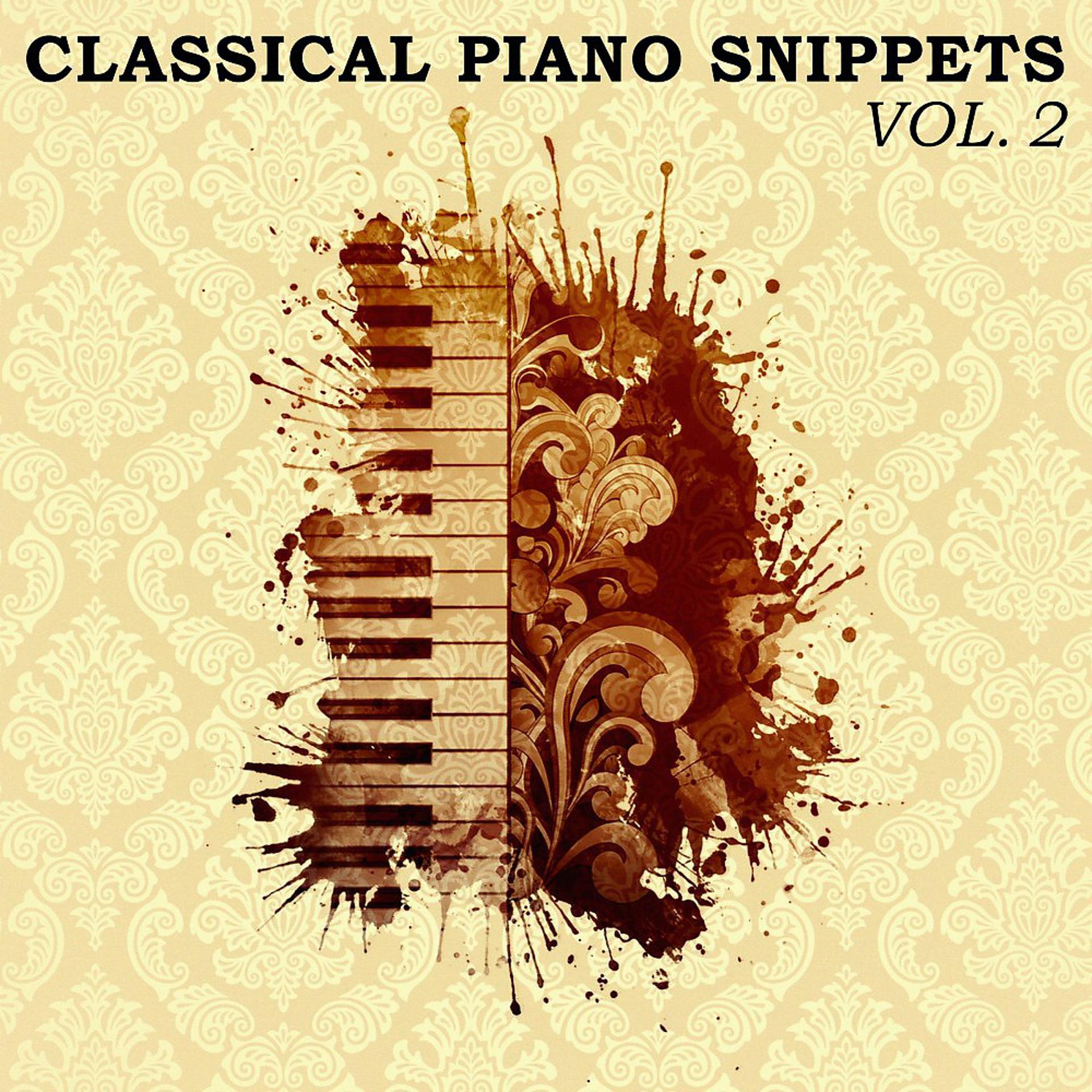 Постер альбома Classical Piano Snippets, Vol. 2
