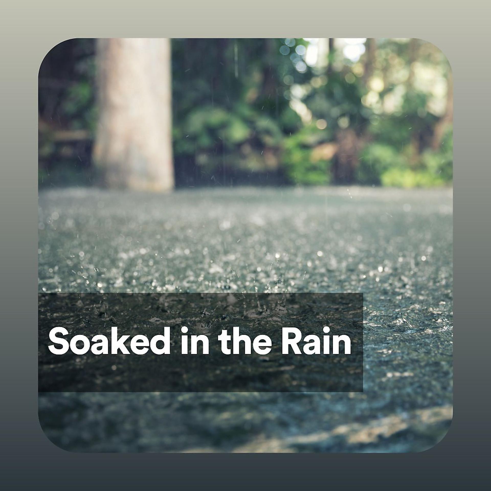 Постер альбома Soaked in the Rain