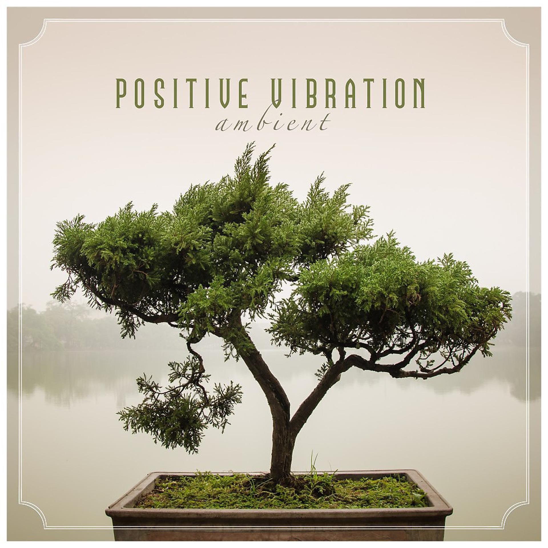 Постер альбома Positive Vibration Ambient