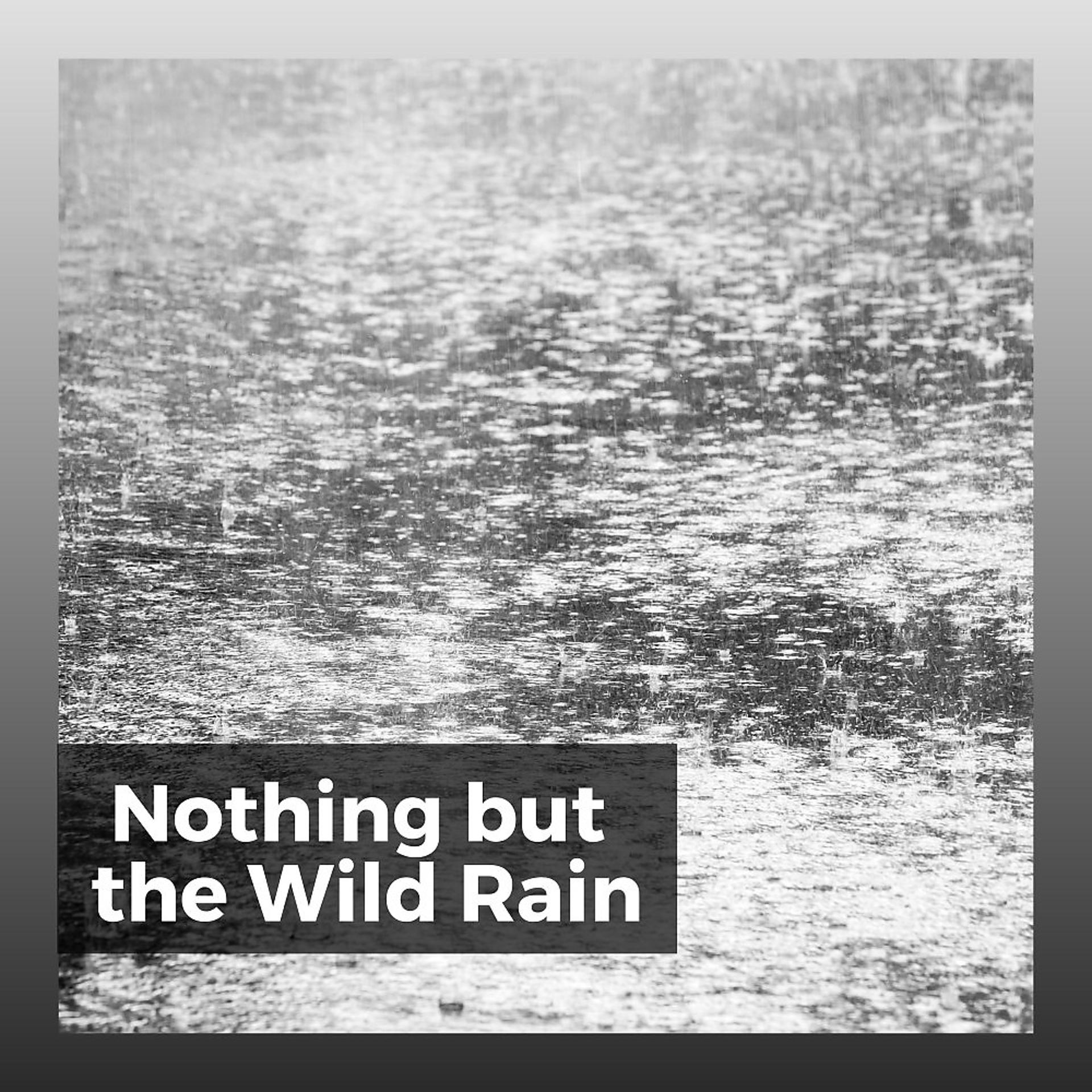 Постер альбома Nothing but the Wild Rain