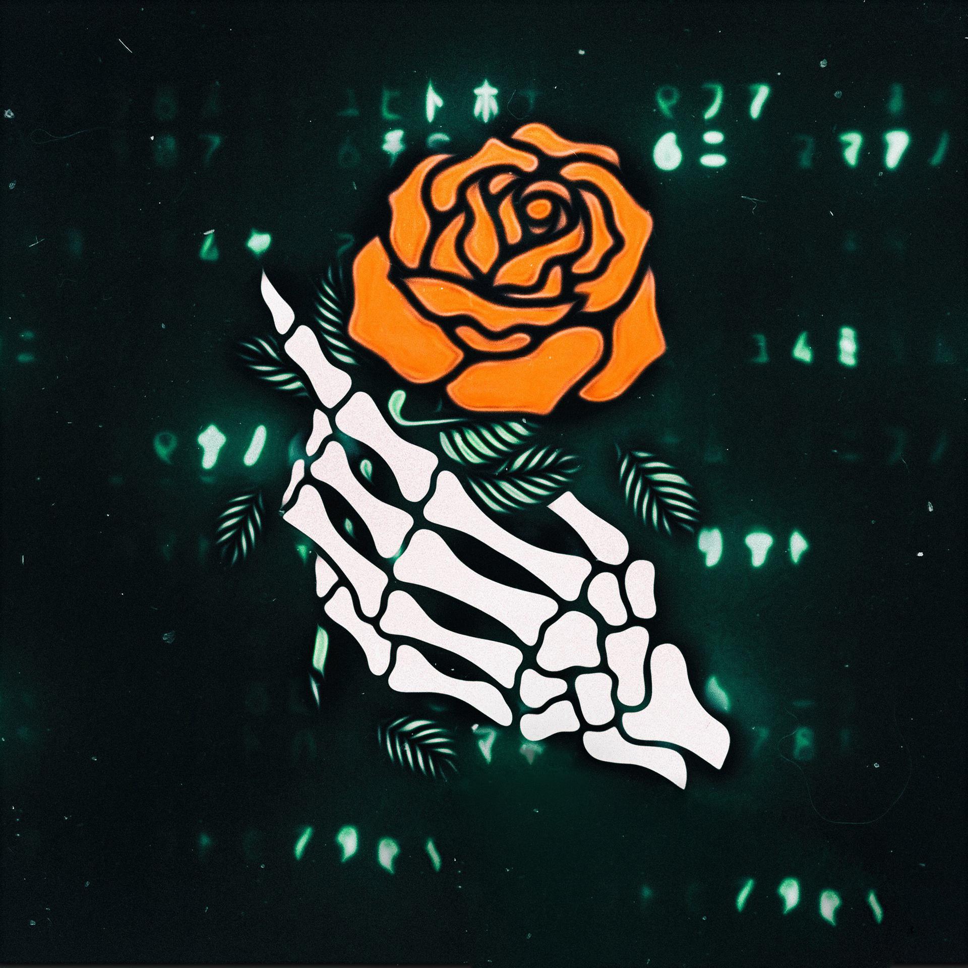 Постер альбома Роза