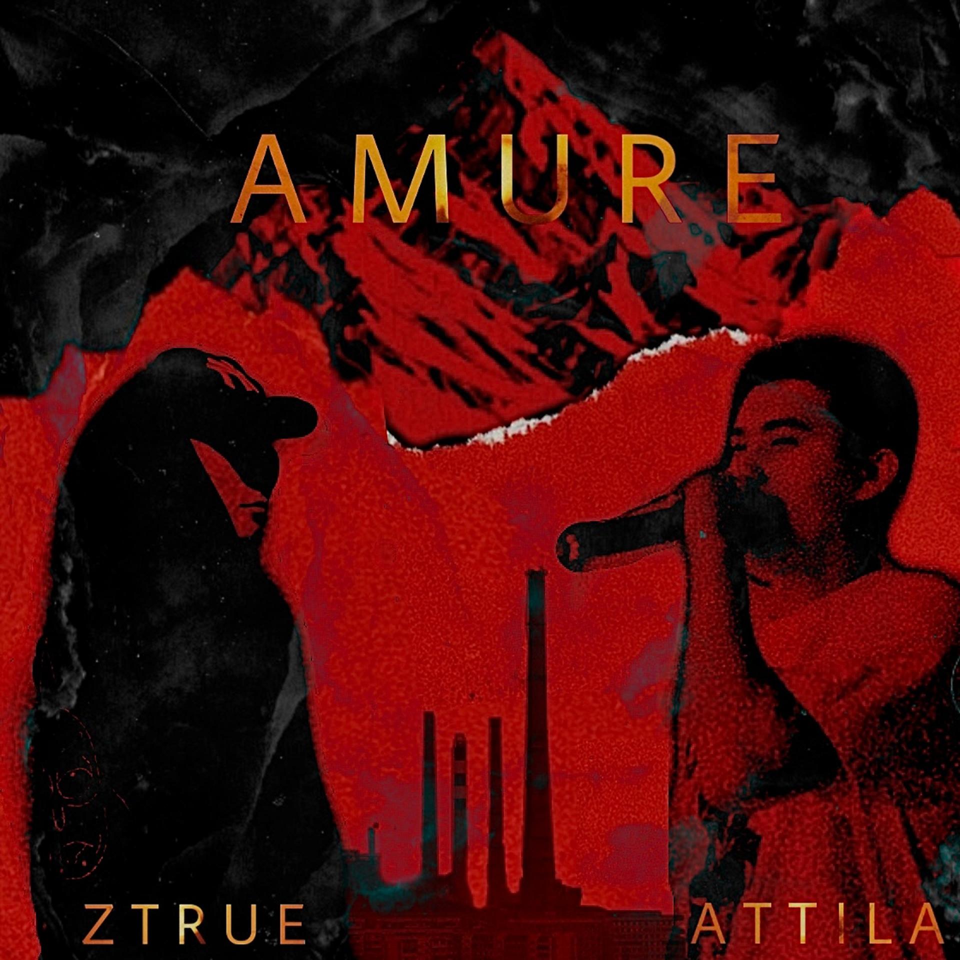 Постер альбома Amure