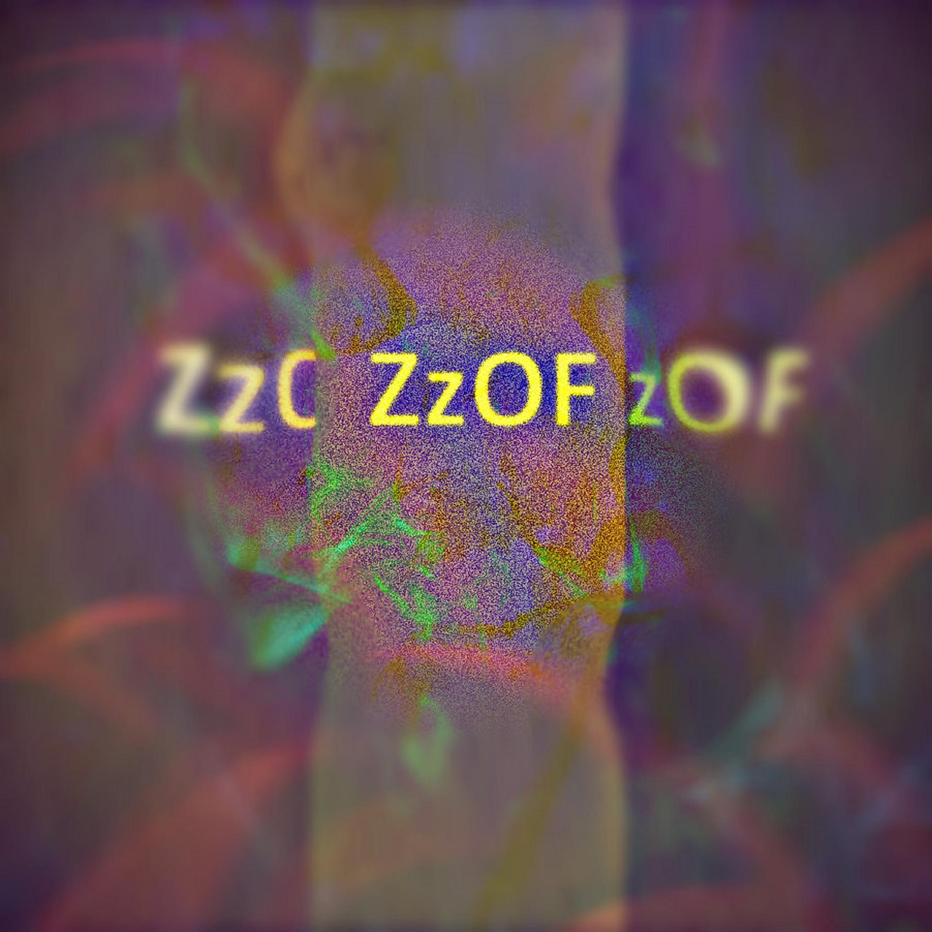Постер альбома Zzof