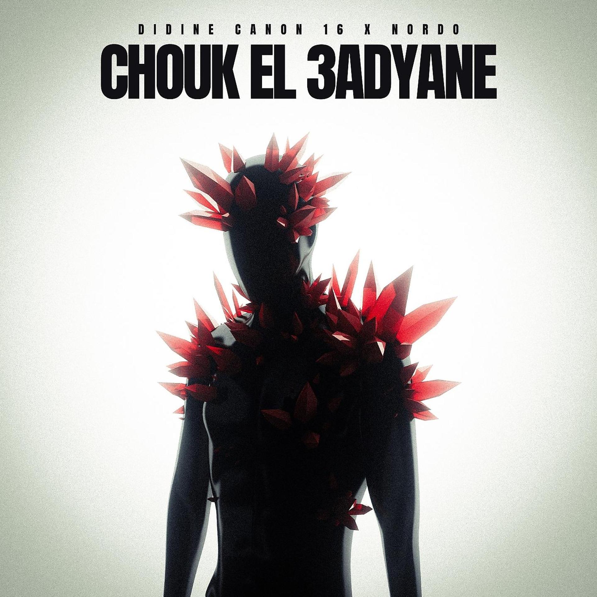 Постер альбома Chouk el 3adyane